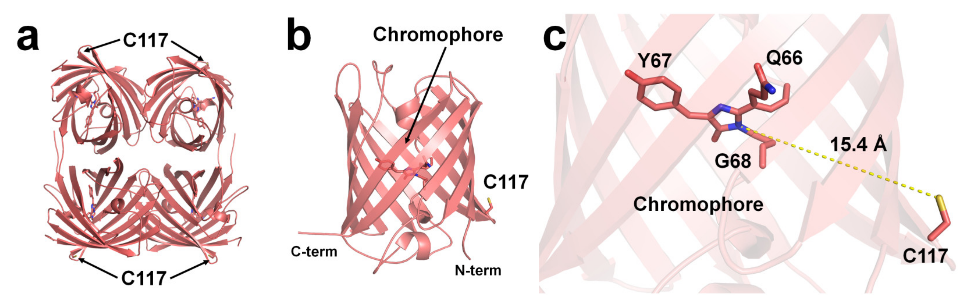 Chemosensors 11 00216 g003 Chemosensors 11 00216 g003