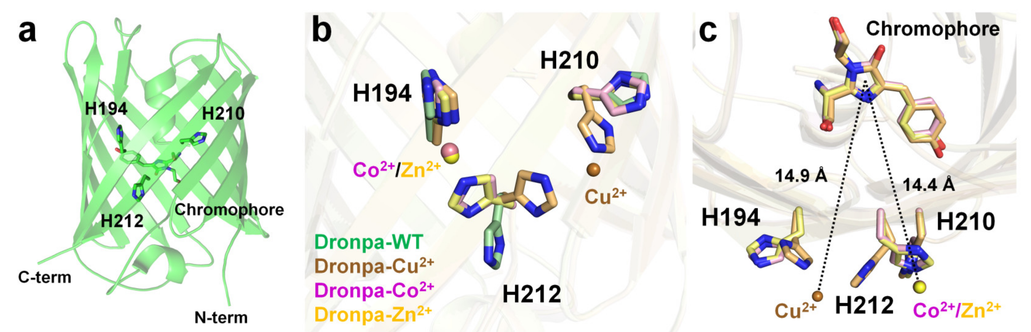 Chemosensors 11 00216 g006 Chemosensors 11 00216 g006