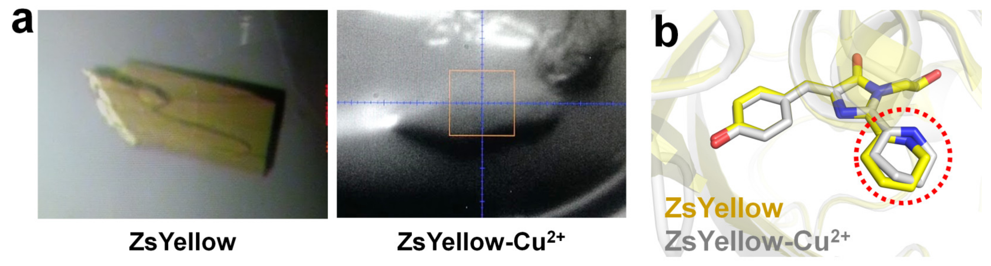 Chemosensors 11 00216 g007 Chemosensors 11 00216 g007