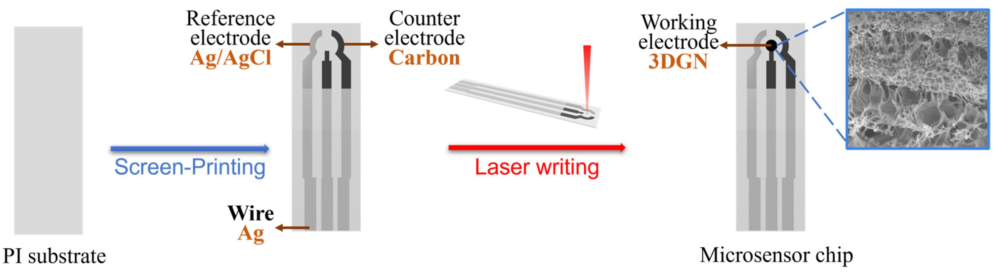 Chemosensors 11 00217 g002 550