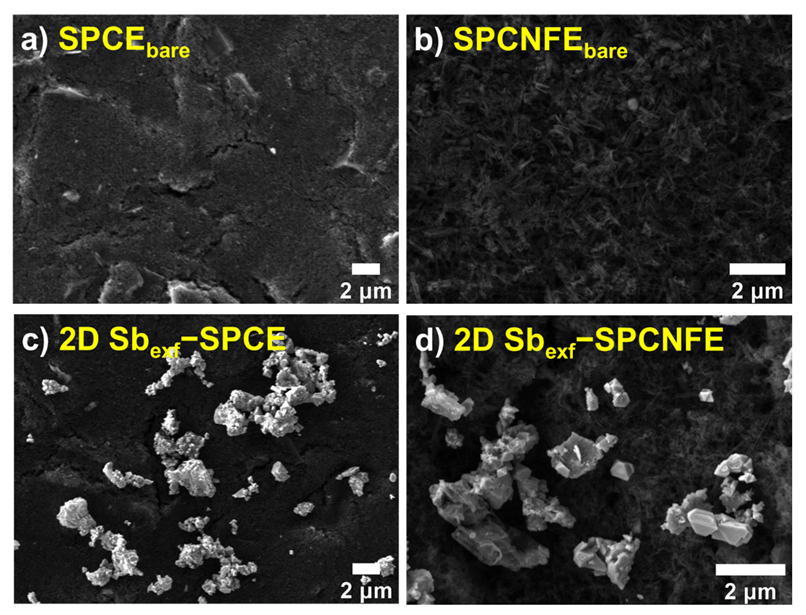 Chemosensors 11 00219 g001 Chemosensors 11 00219 g001