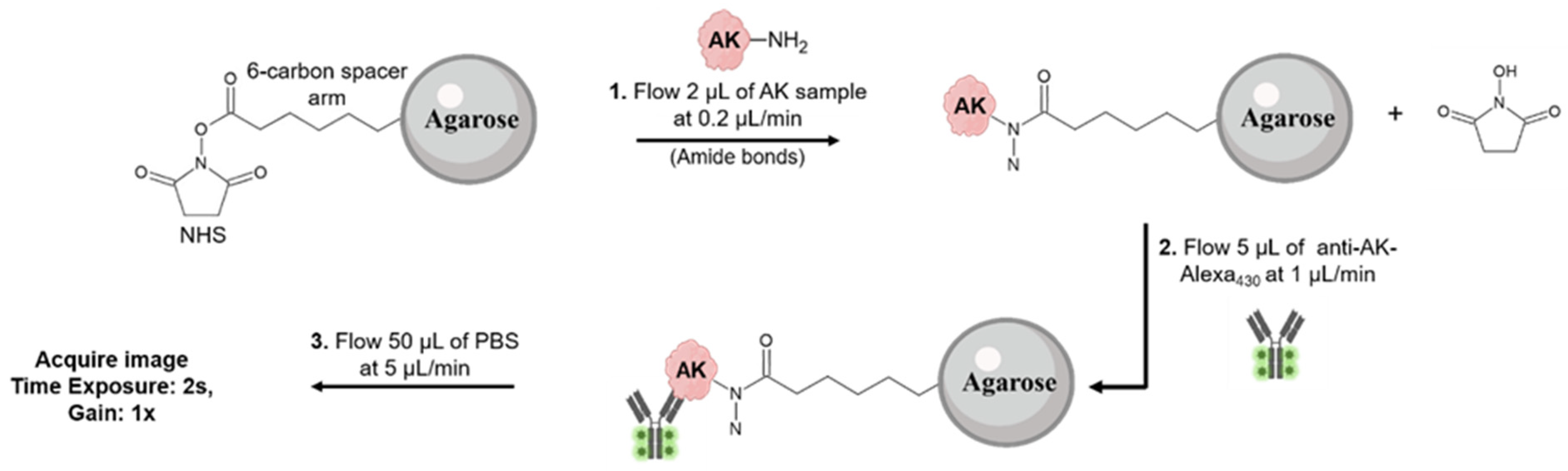 Chemosensors 11 00220 g003 Chemosensors 11 00220 g003