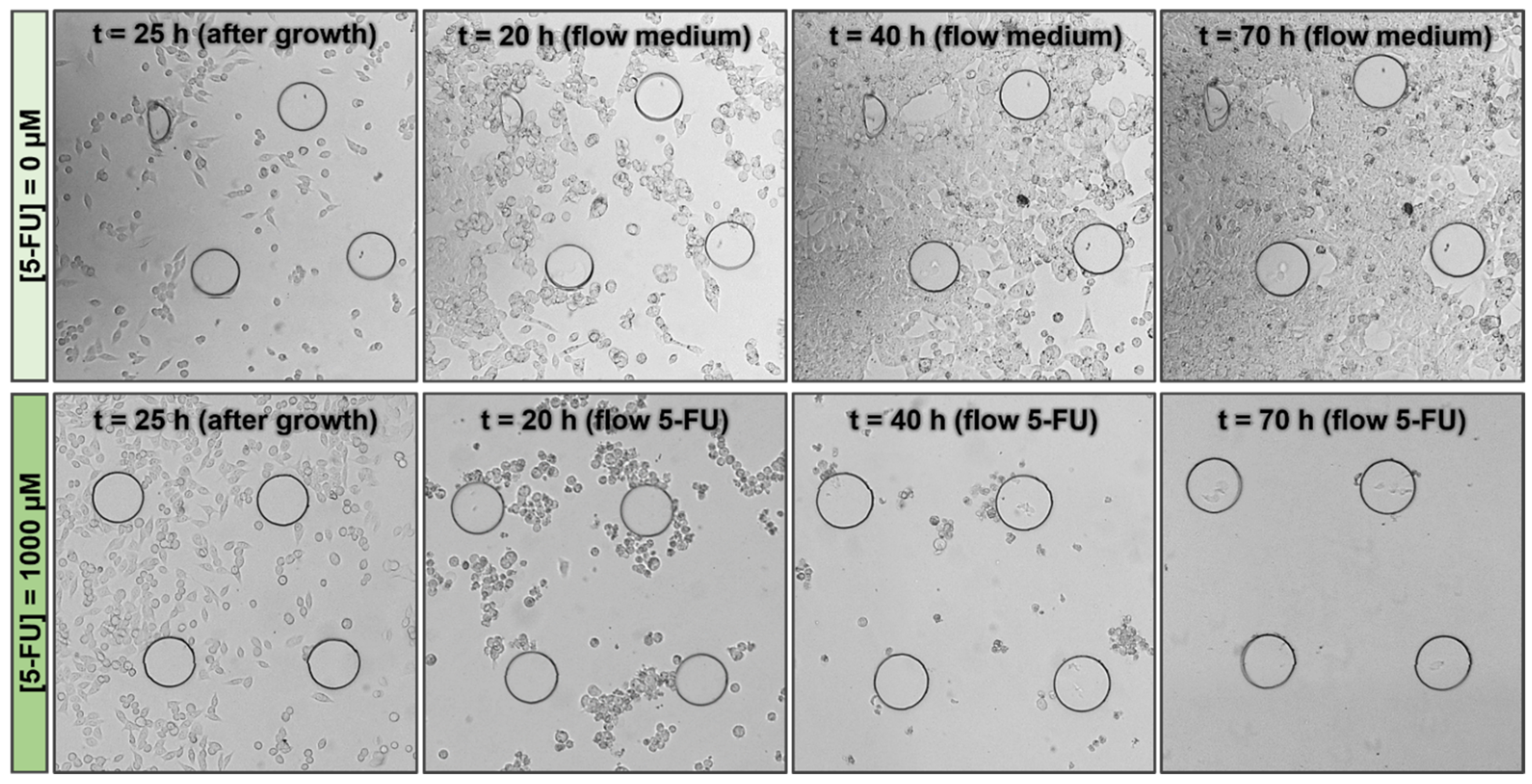 Chemosensors 11 00220 g008 Chemosensors 11 00220 g008