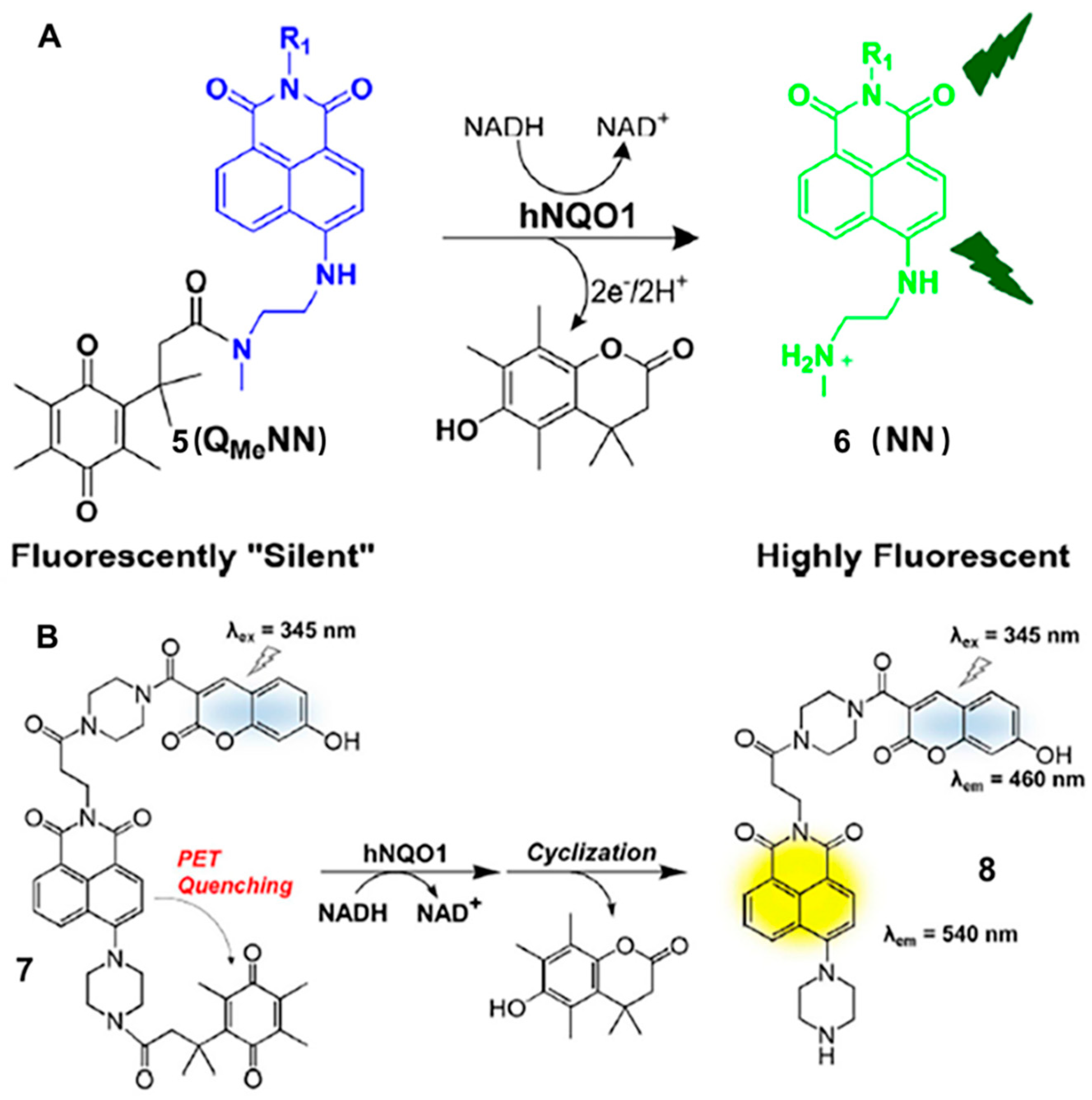 Chemosensors 11 00221 g004 Chemosensors 11 00221 g004