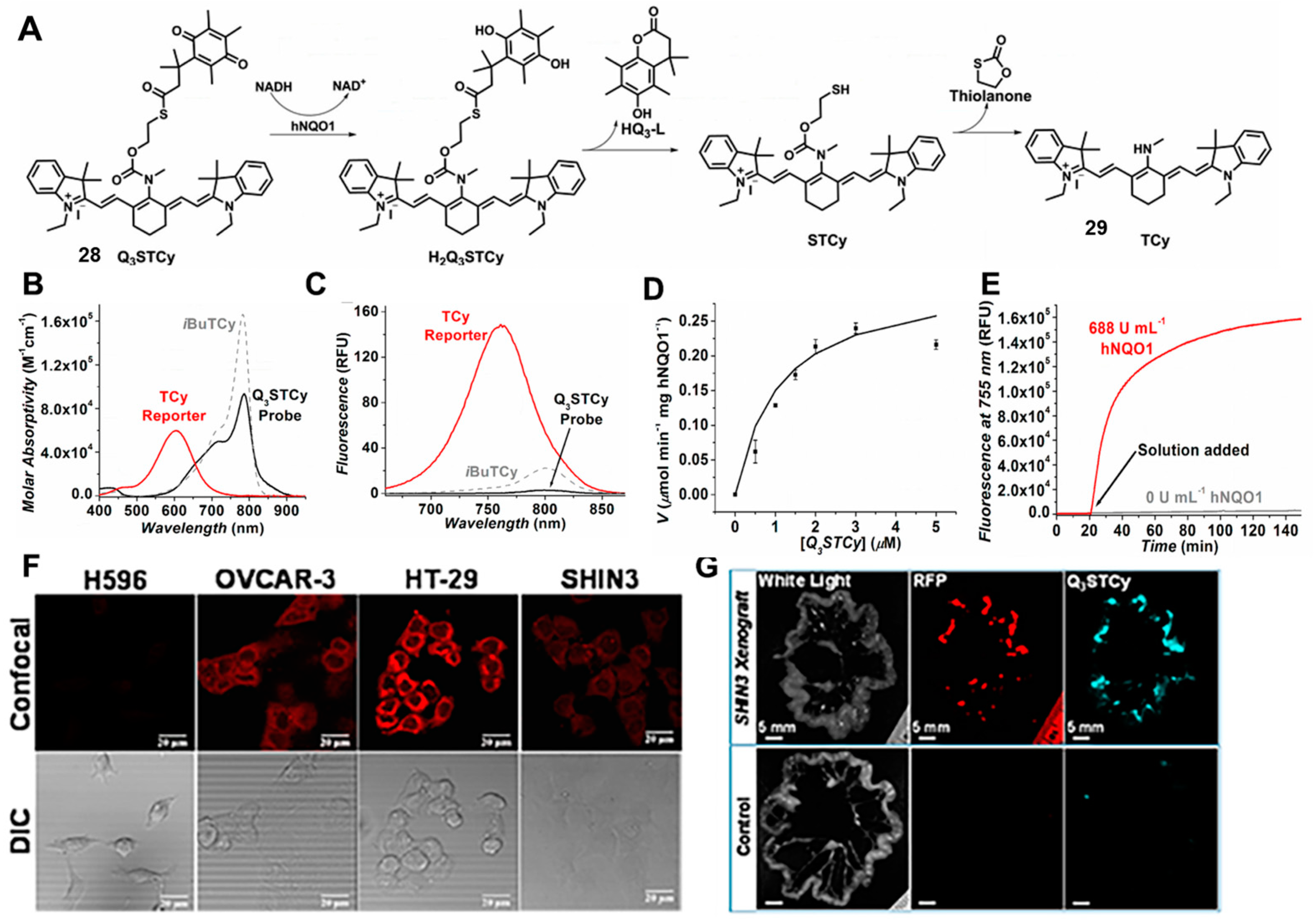 Chemosensors 11 00221 g011 Chemosensors 11 00221 g011