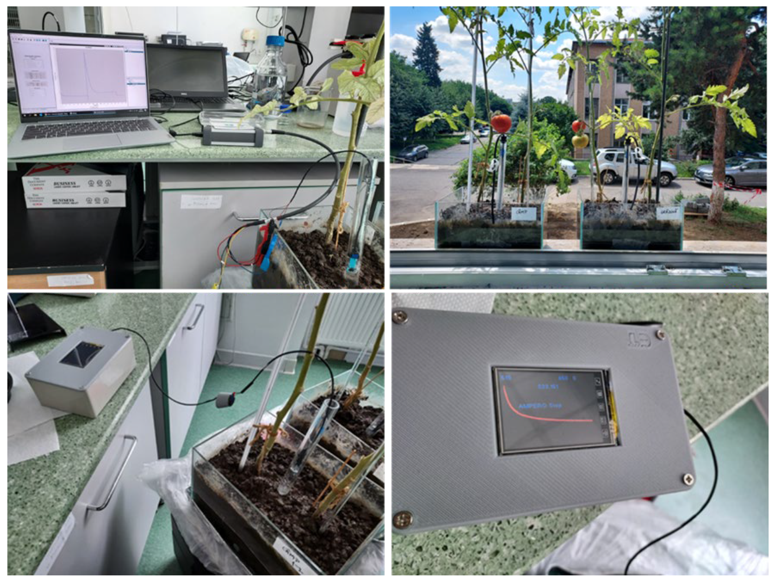 Chemosensors 11 00224 g012