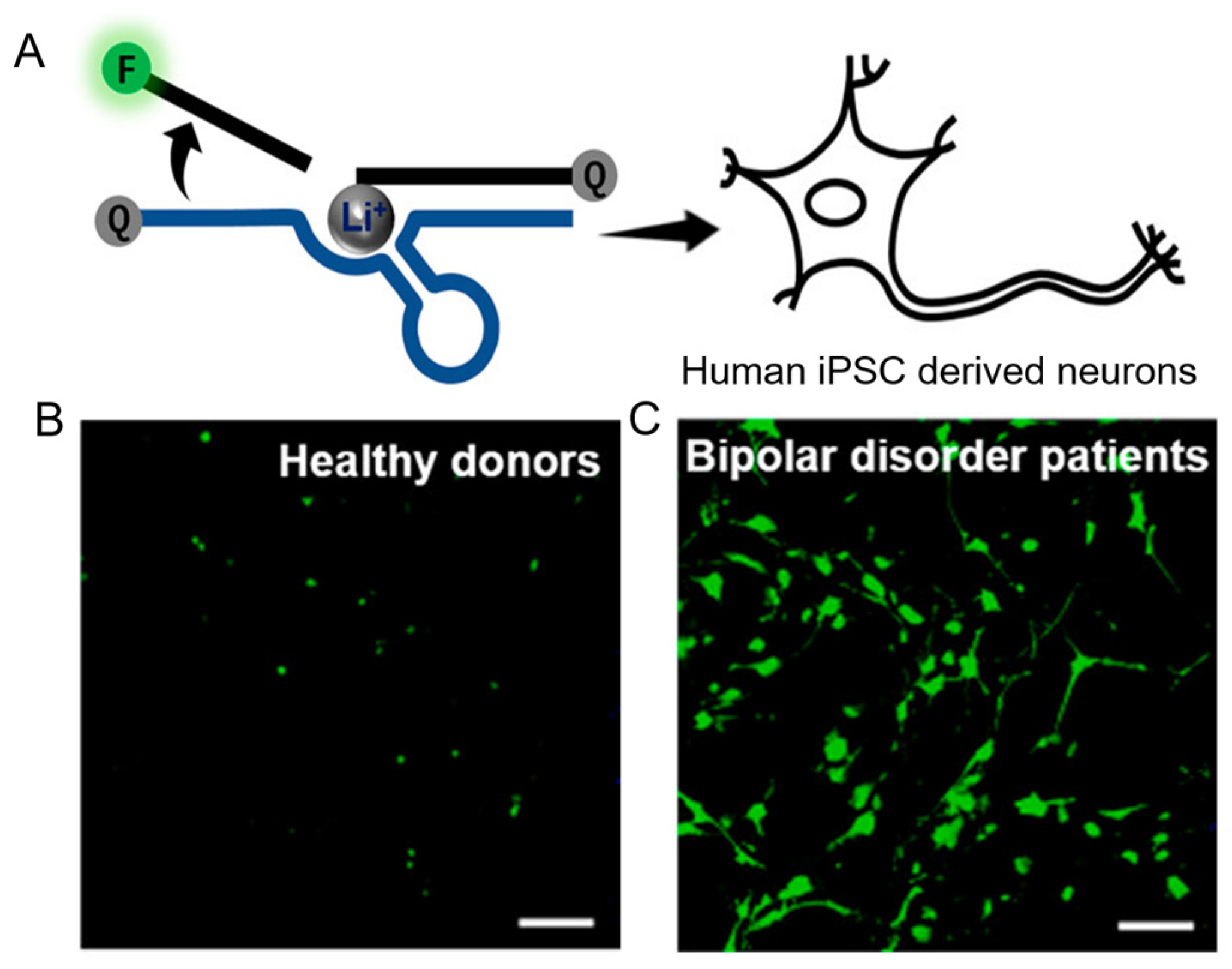 Chemosensors 11 00226 g008 Chemosensors 11 00226 g008
