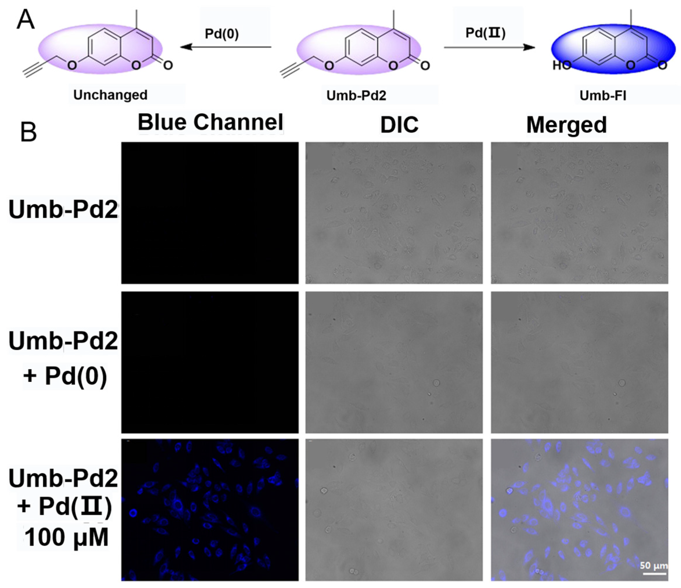 Chemosensors 11 00226 g010 Chemosensors 11 00226 g010