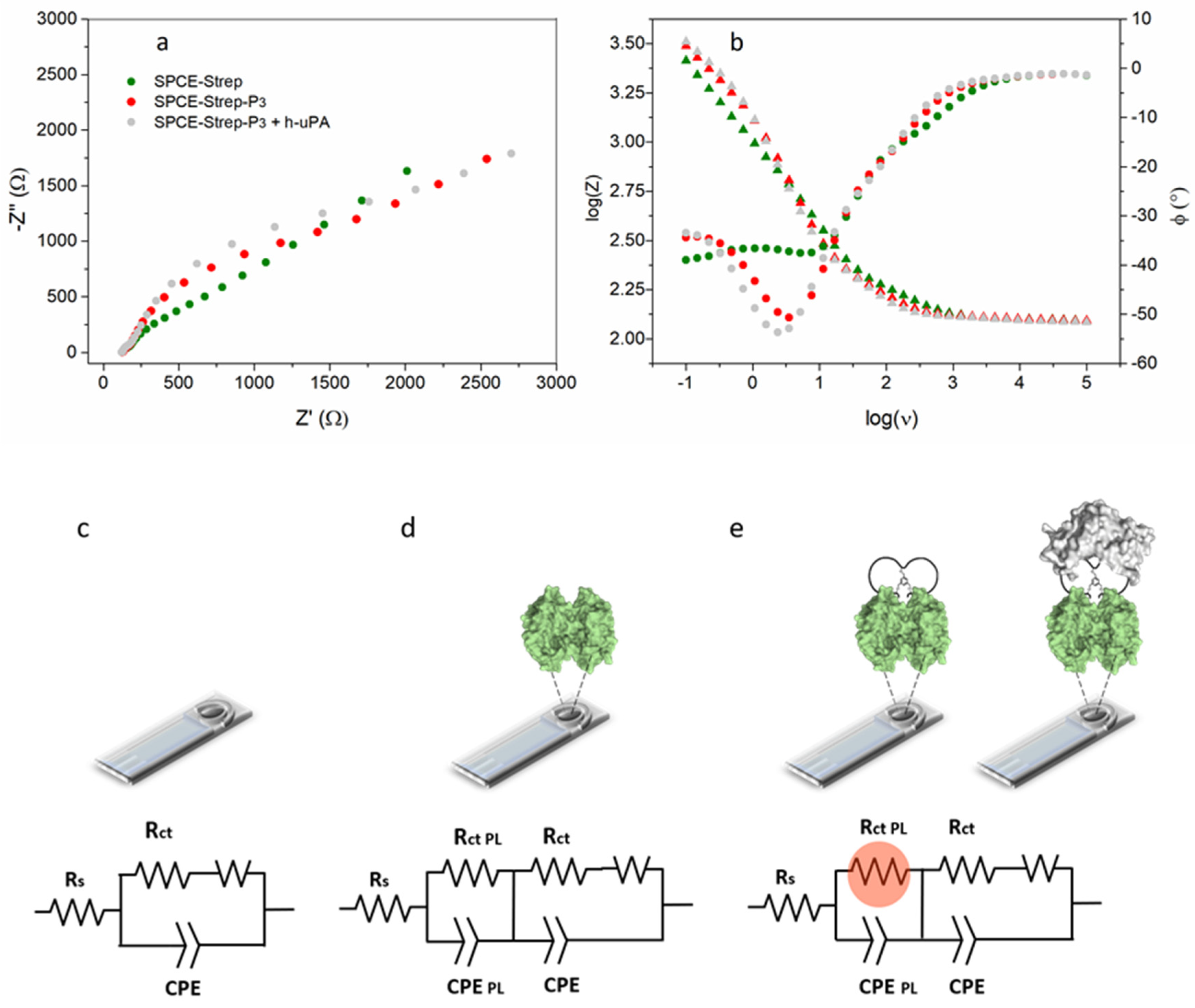 Chemosensors 11 00234 g004