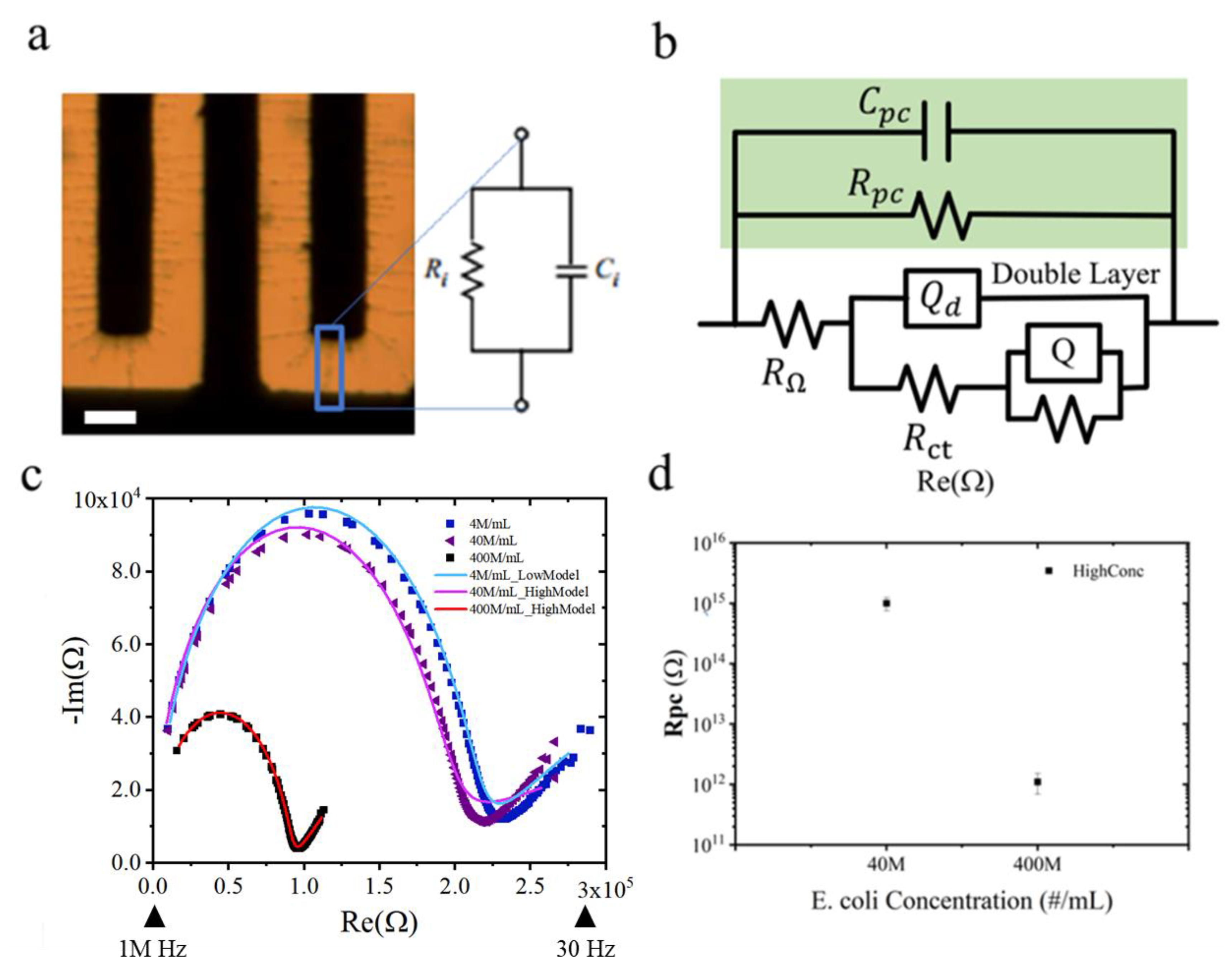 Chemosensors 11 00238 g004 Chemosensors 11 00238 g004