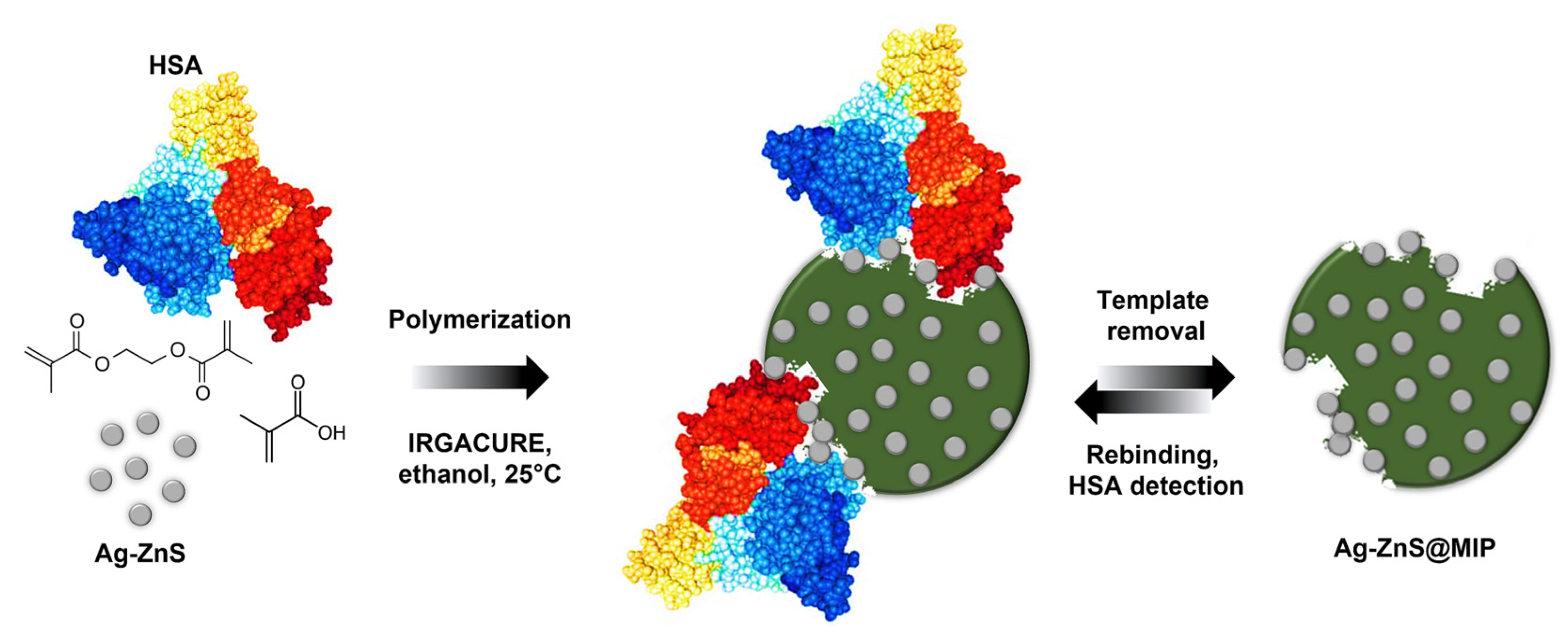 Chemosensors 11 00240 g001 Chemosensors 11 00240 g001