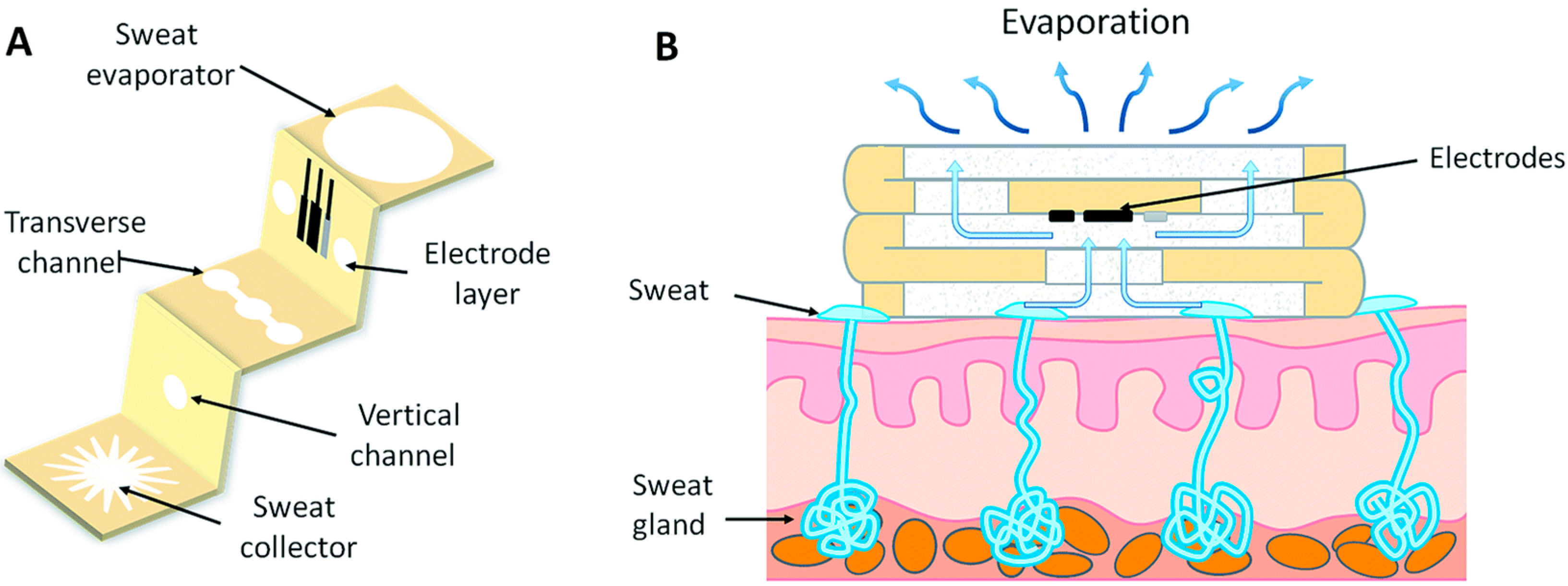 Chemosensors 11 00244 g002 Chemosensors 11 00244 g002