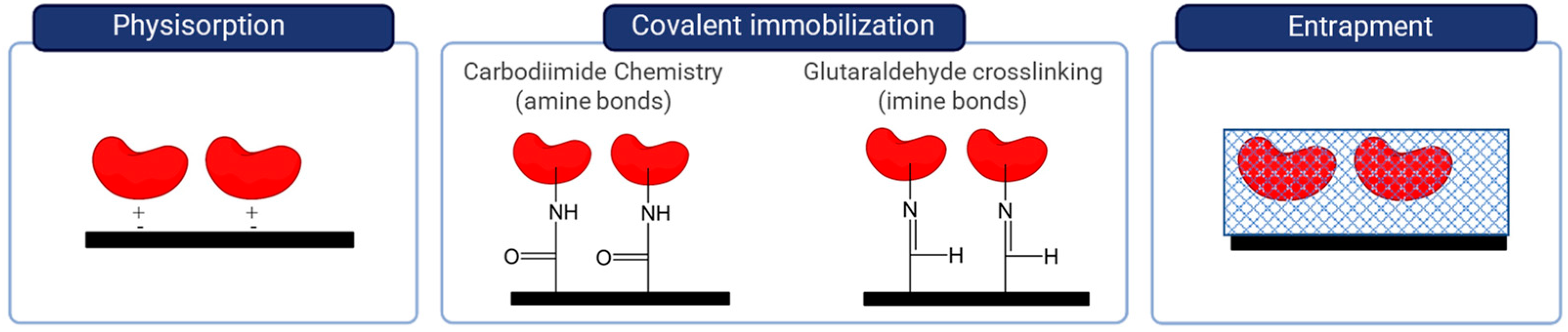 Chemosensors 11 00244 g006 Chemosensors 11 00244 g006