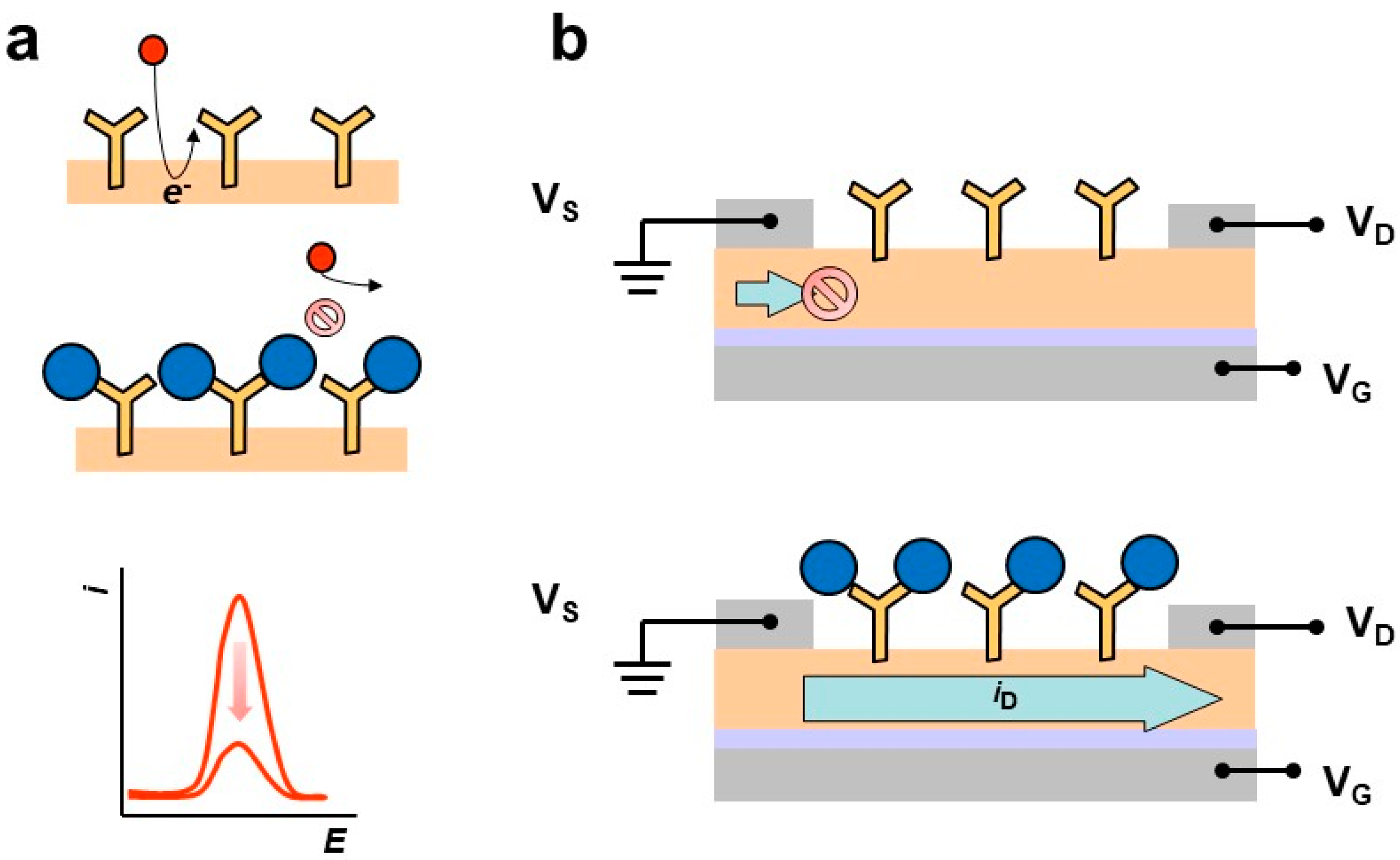 Chemosensors 11 00244 g007 Chemosensors 11 00244 g007