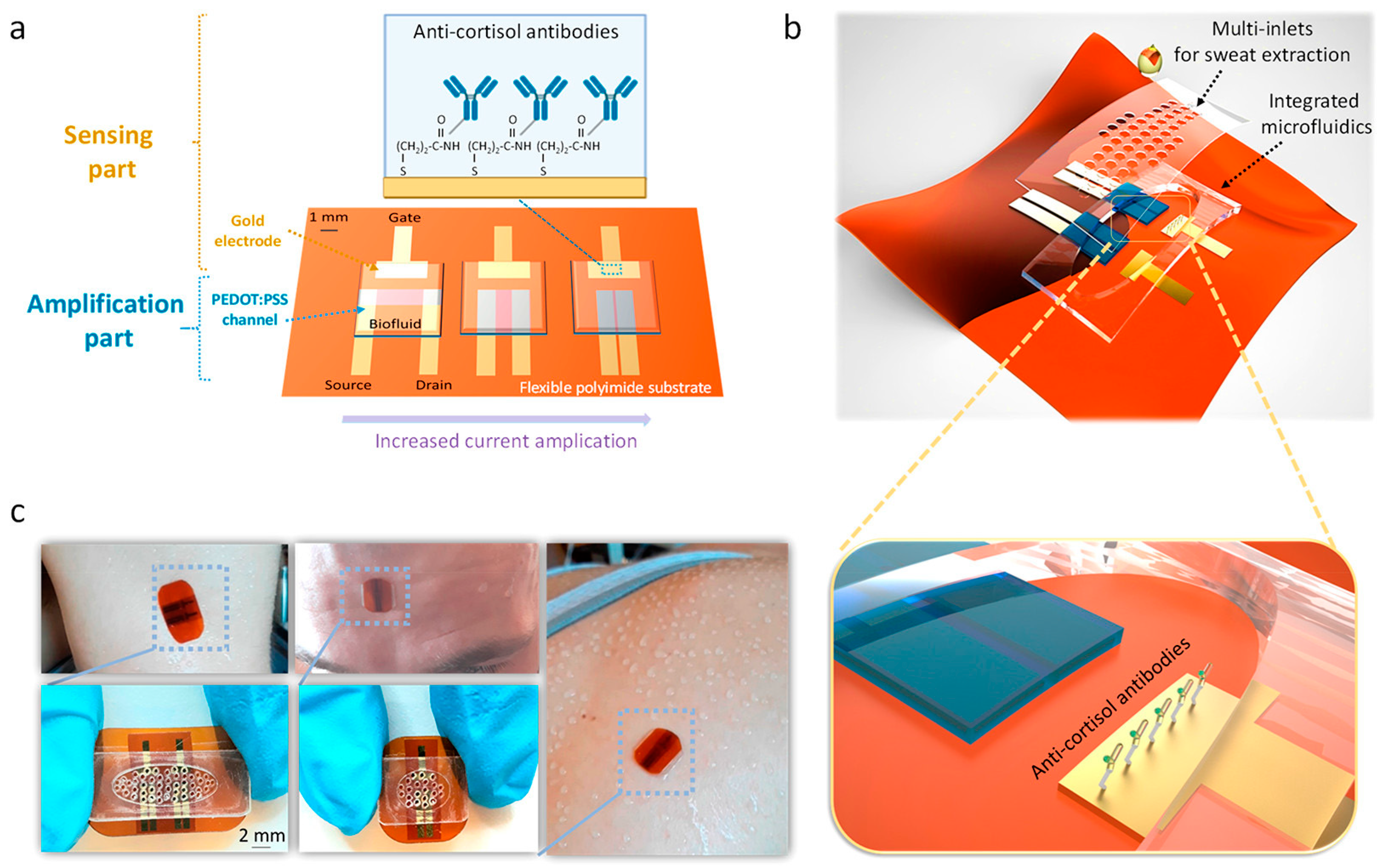 Chemosensors 11 00244 g009 Chemosensors 11 00244 g009