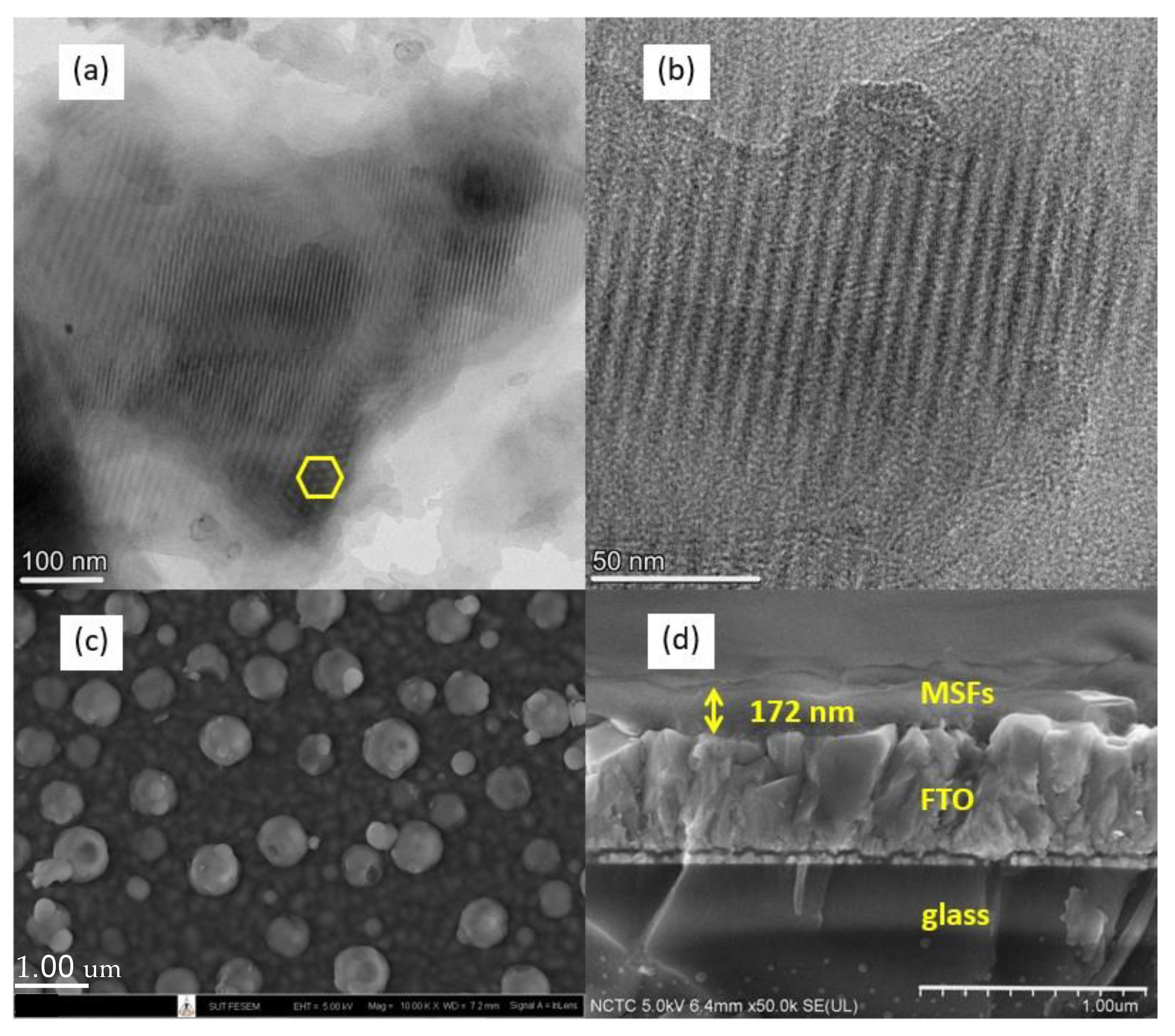 Chemosensors 11 00249 g001
