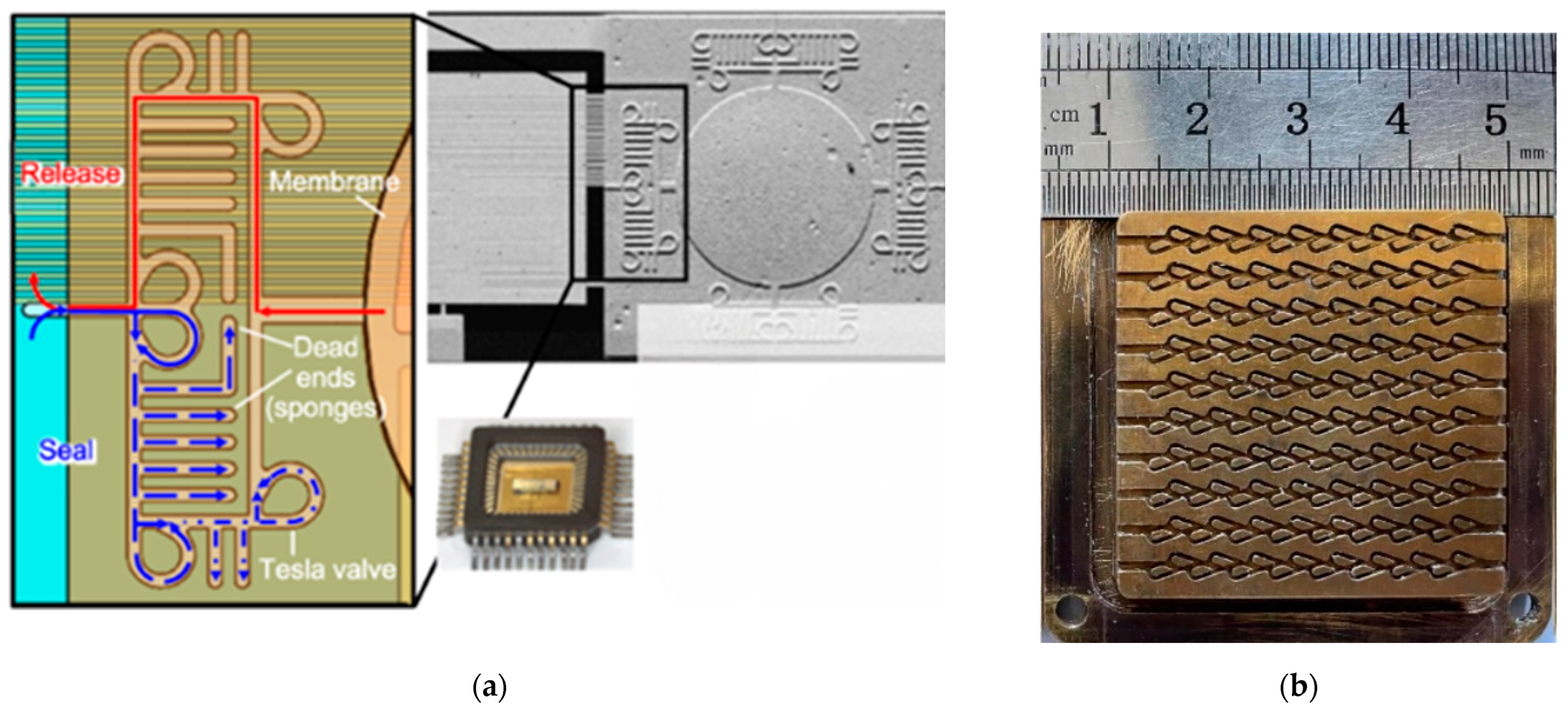 Chemosensors 11 00256 g007 Chemosensors 11 00256 g007