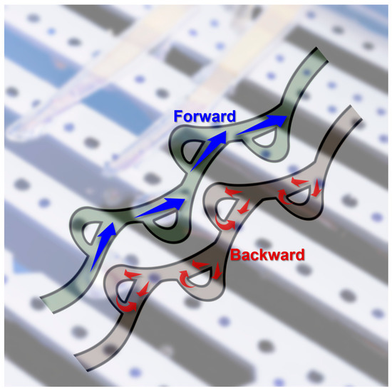 ユウ ゼクス47弾新カード紹介「闇翼§継承 上柚木八千代」他5枚