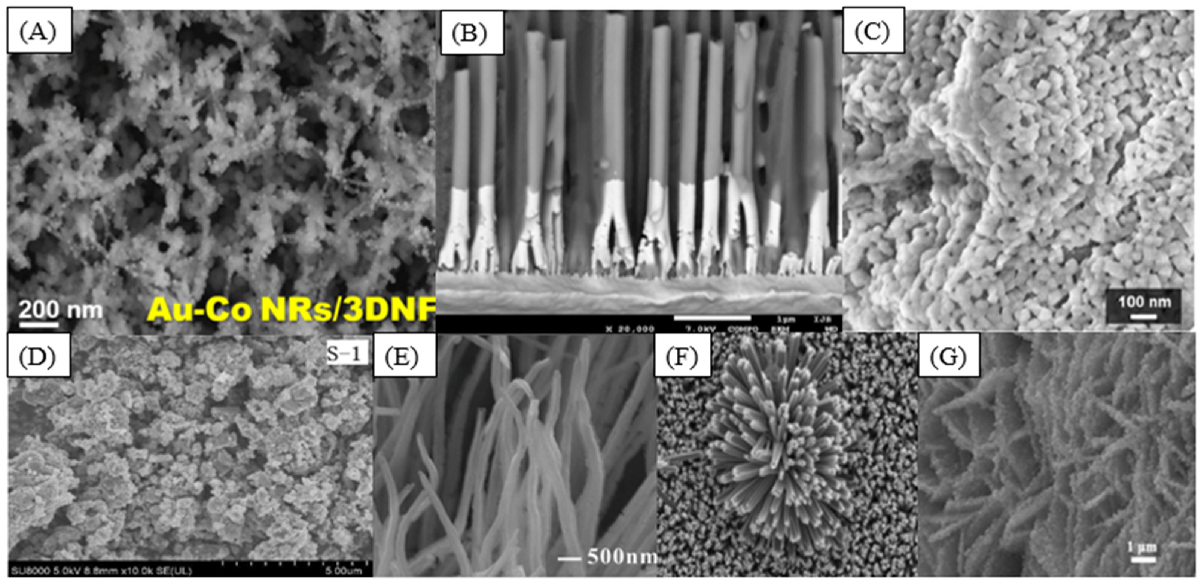 Chemosensors 11 00261 g004 Chemosensors 11 00261 g004