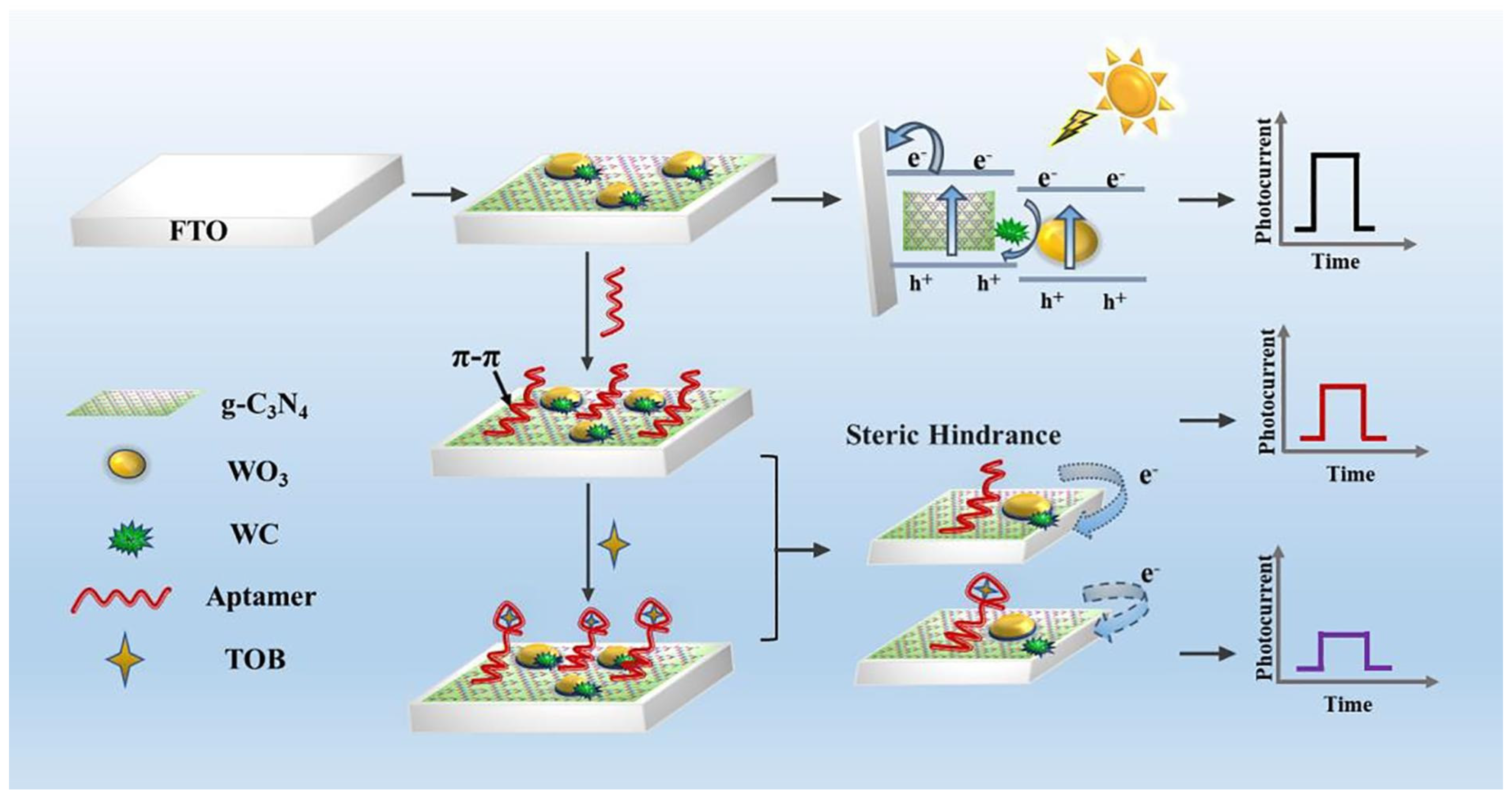 Chemosensors 11 00261 g010 Chemosensors 11 00261 g010