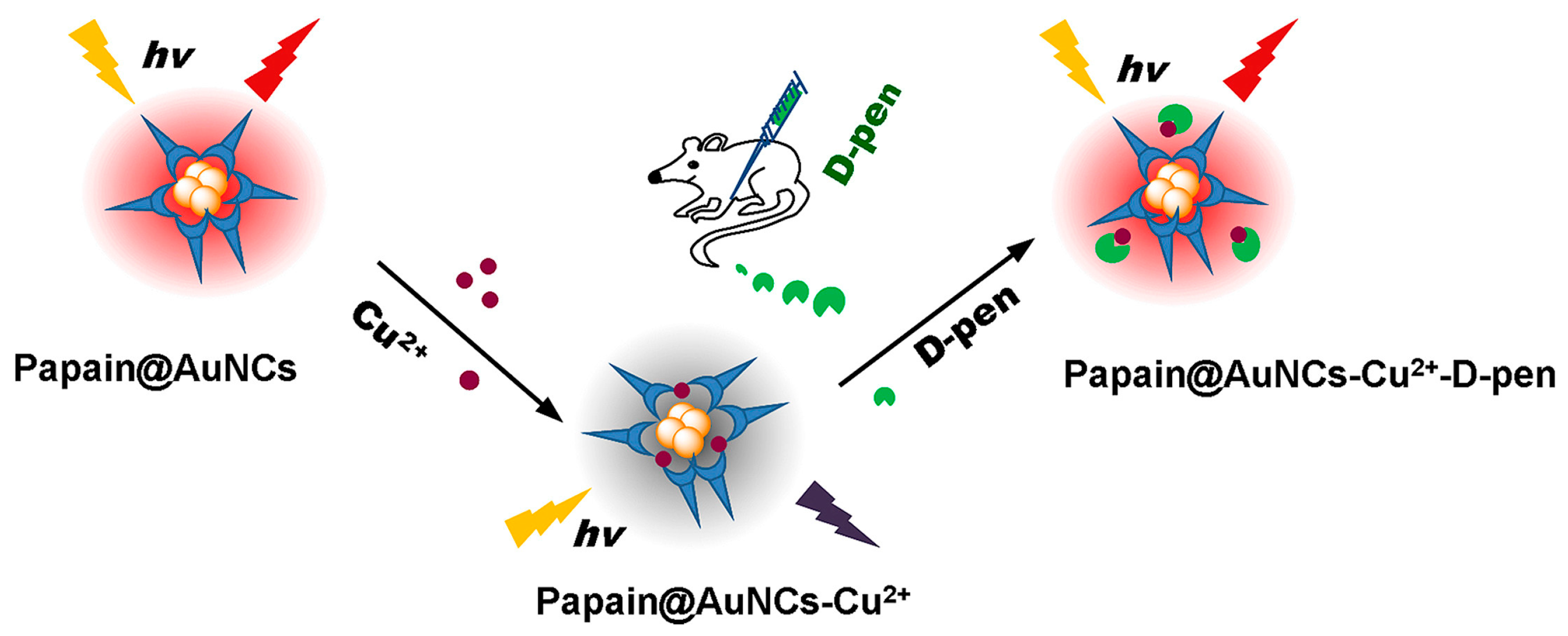 Chemosensors 11 00269 g001