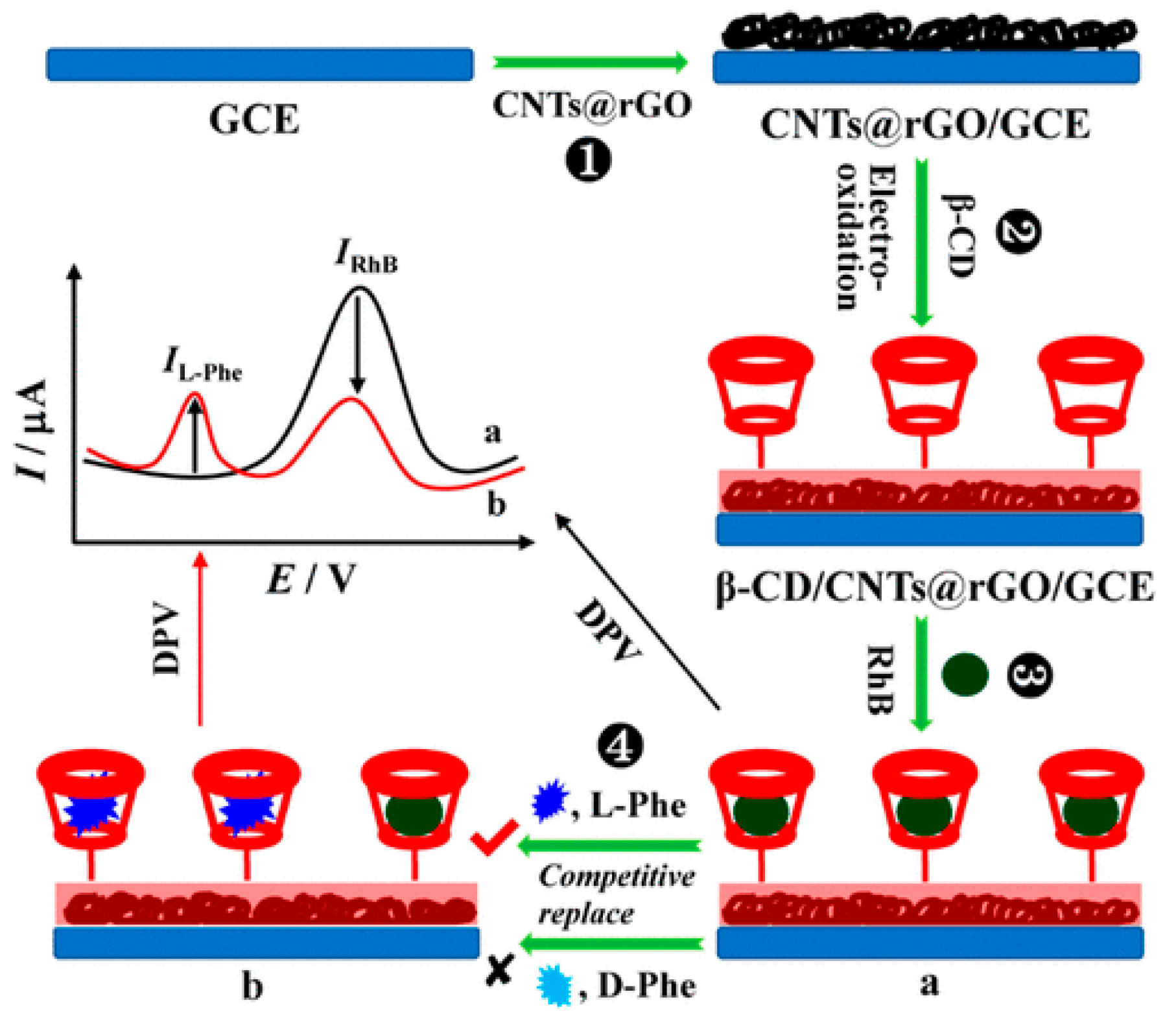 Chemosensors 11 00269 g011