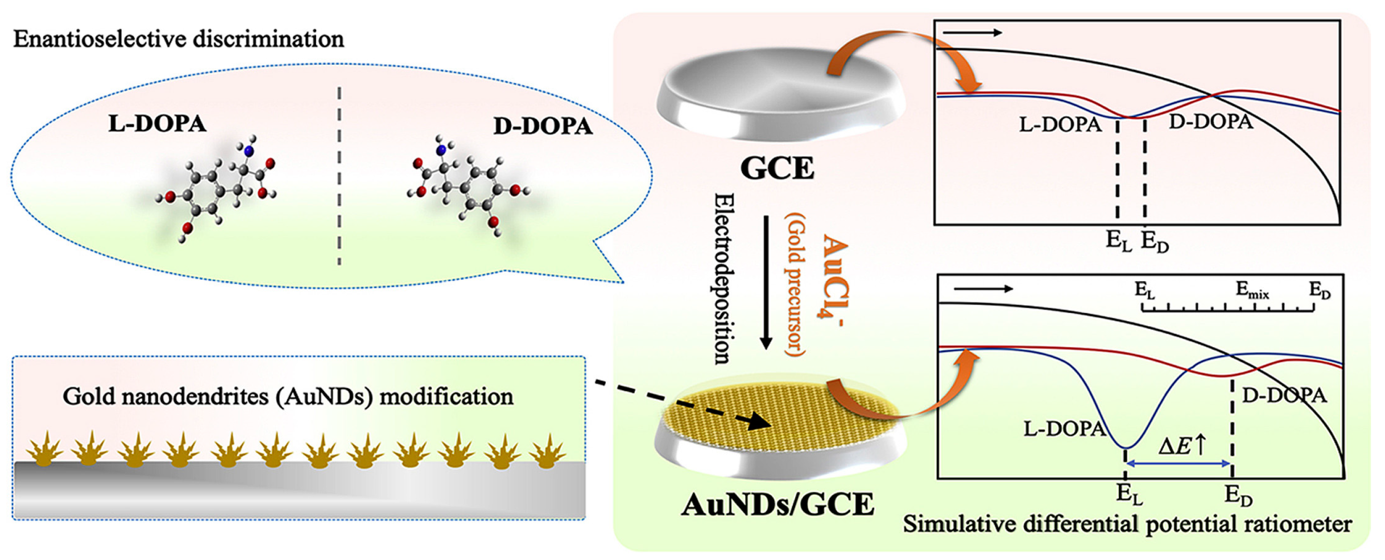 Chemosensors 11 00269 g014