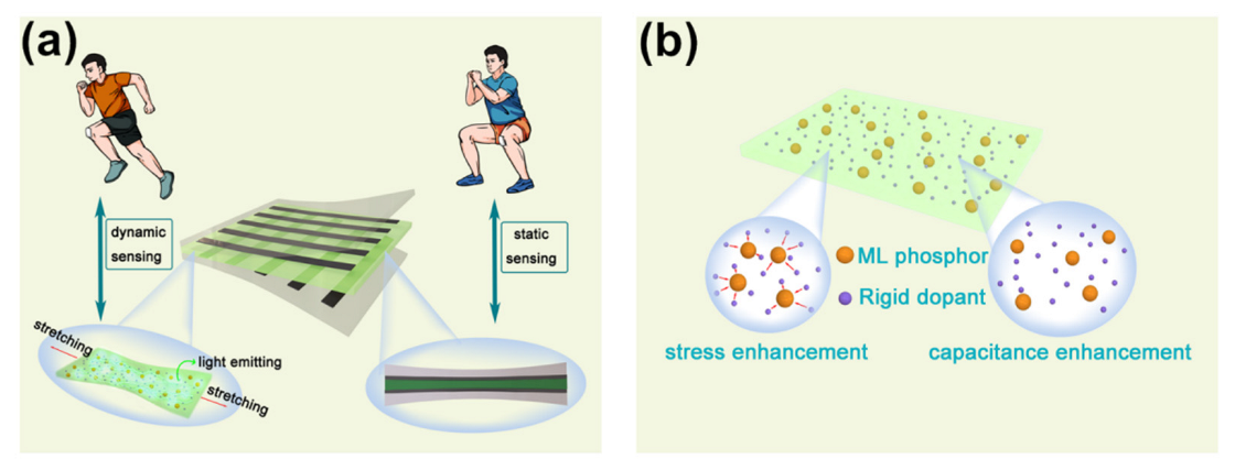 Chemosensors 11 00270 g001