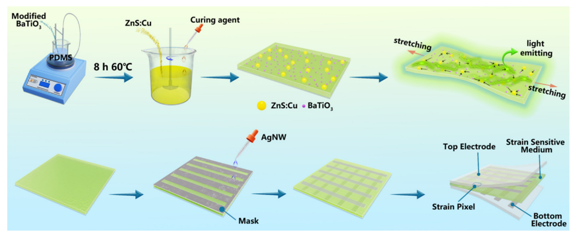 Chemosensors 11 00270 g002
