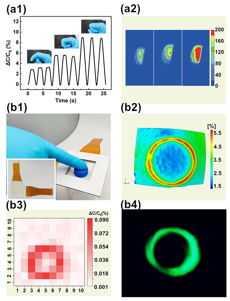 Chemosensors 11 00270 g006