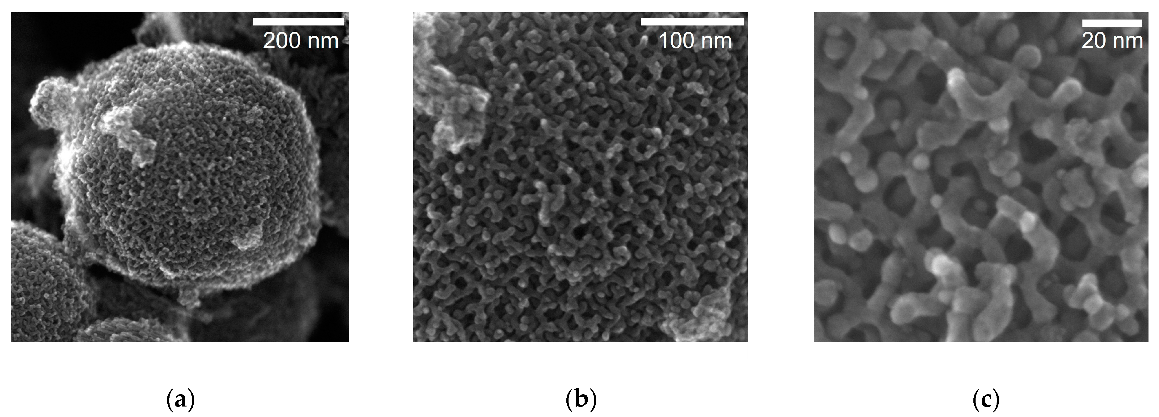Chemosensors 11 00271 g005