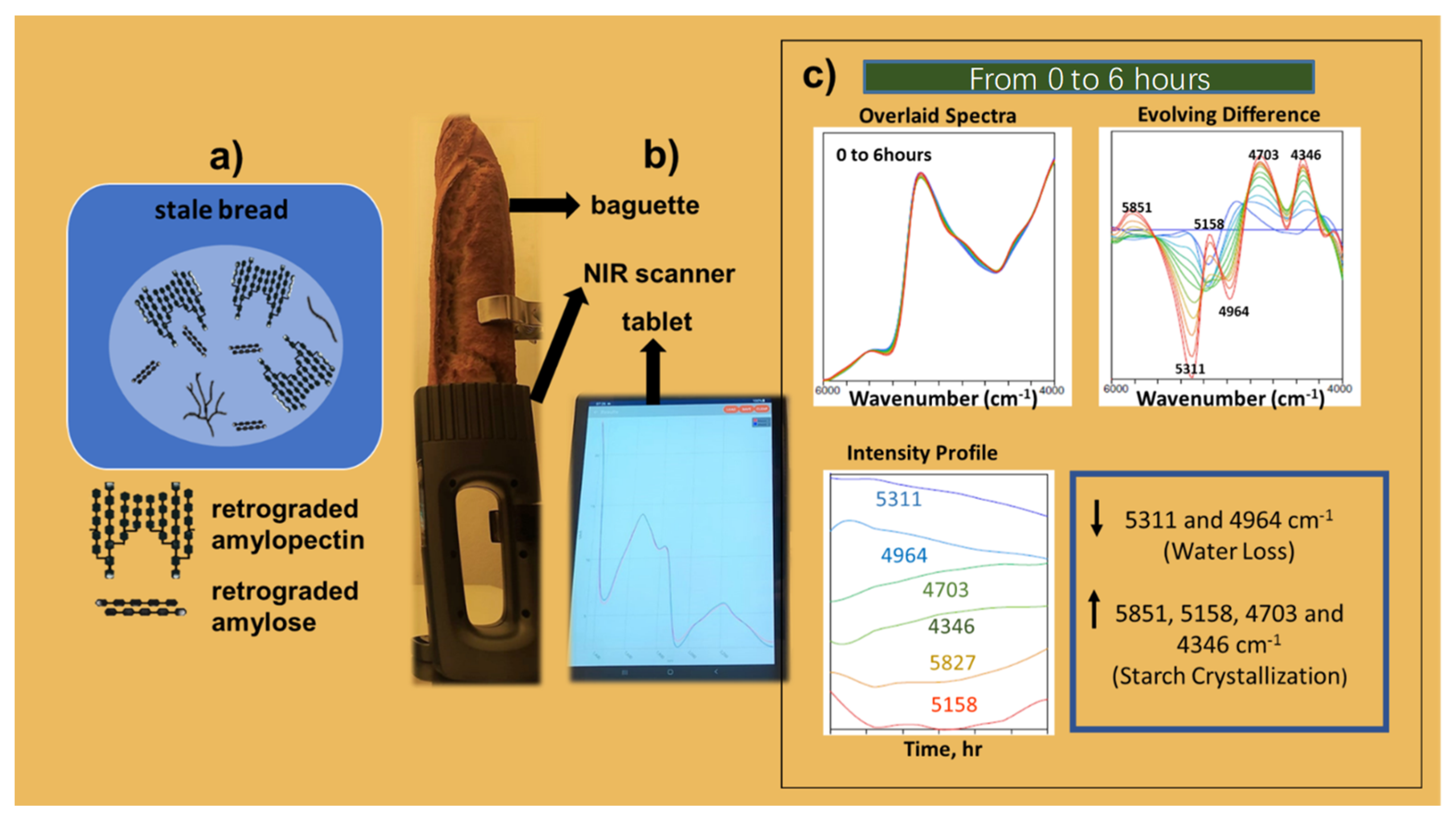 Chemosensors 11 00272 g012 Chemosensors 11 00272 g012