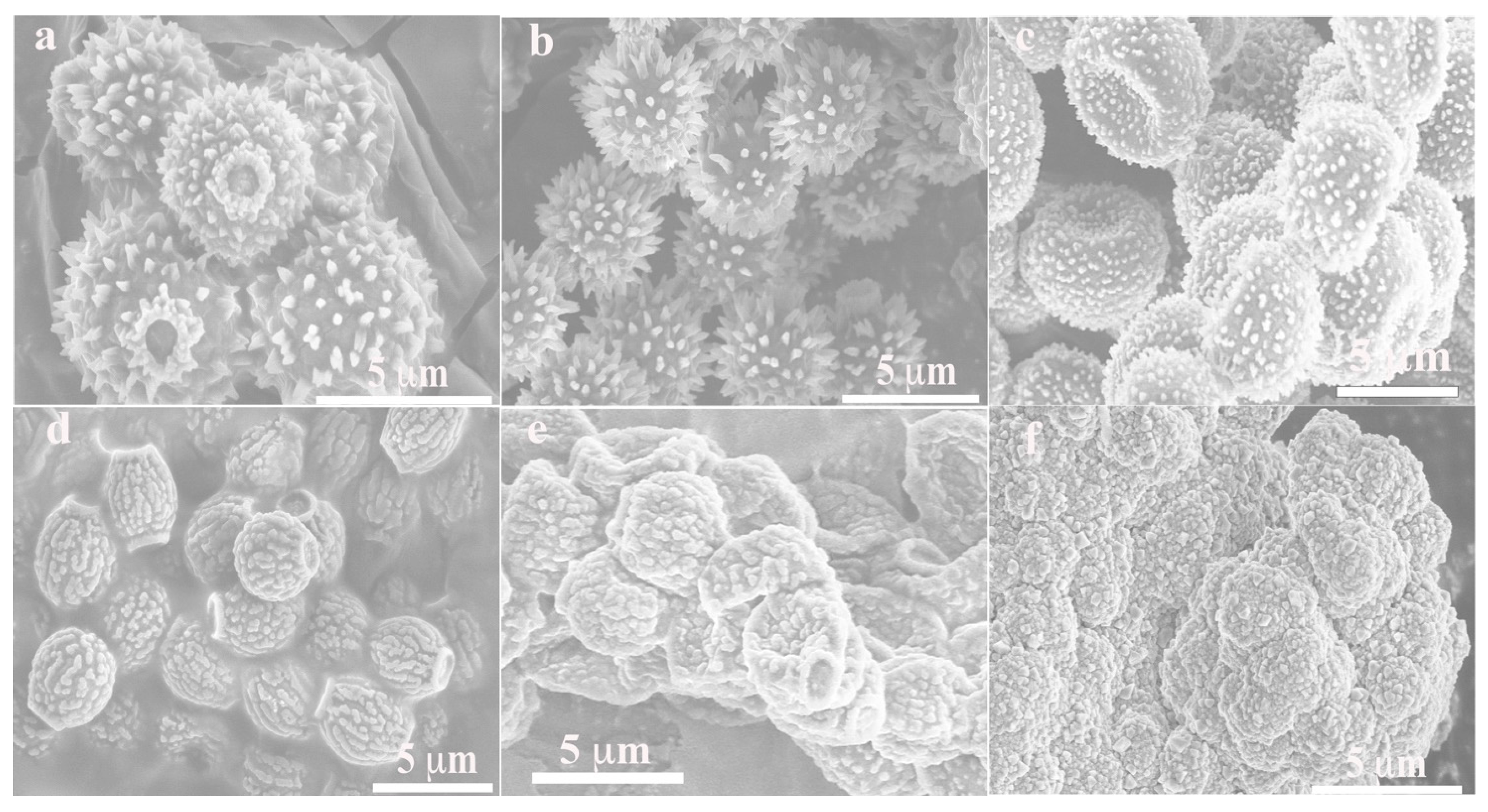 Chemosensors 11 00277 g001