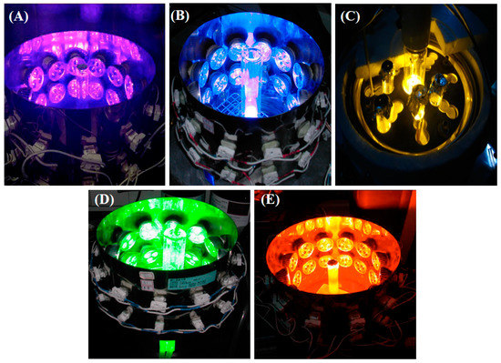 Fluorescence Evolution of Gold Nanoclusters in the Presence