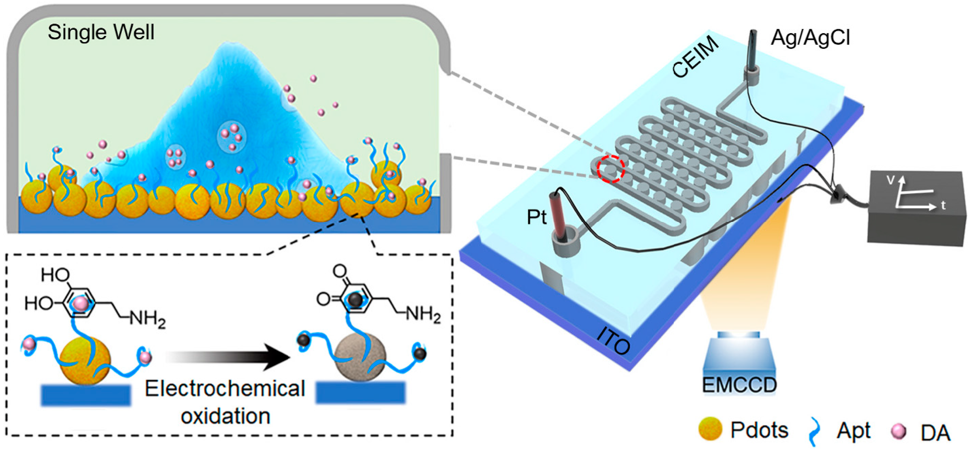 Chemosensors 11 00281 g003 Chemosensors 11 00281 g003