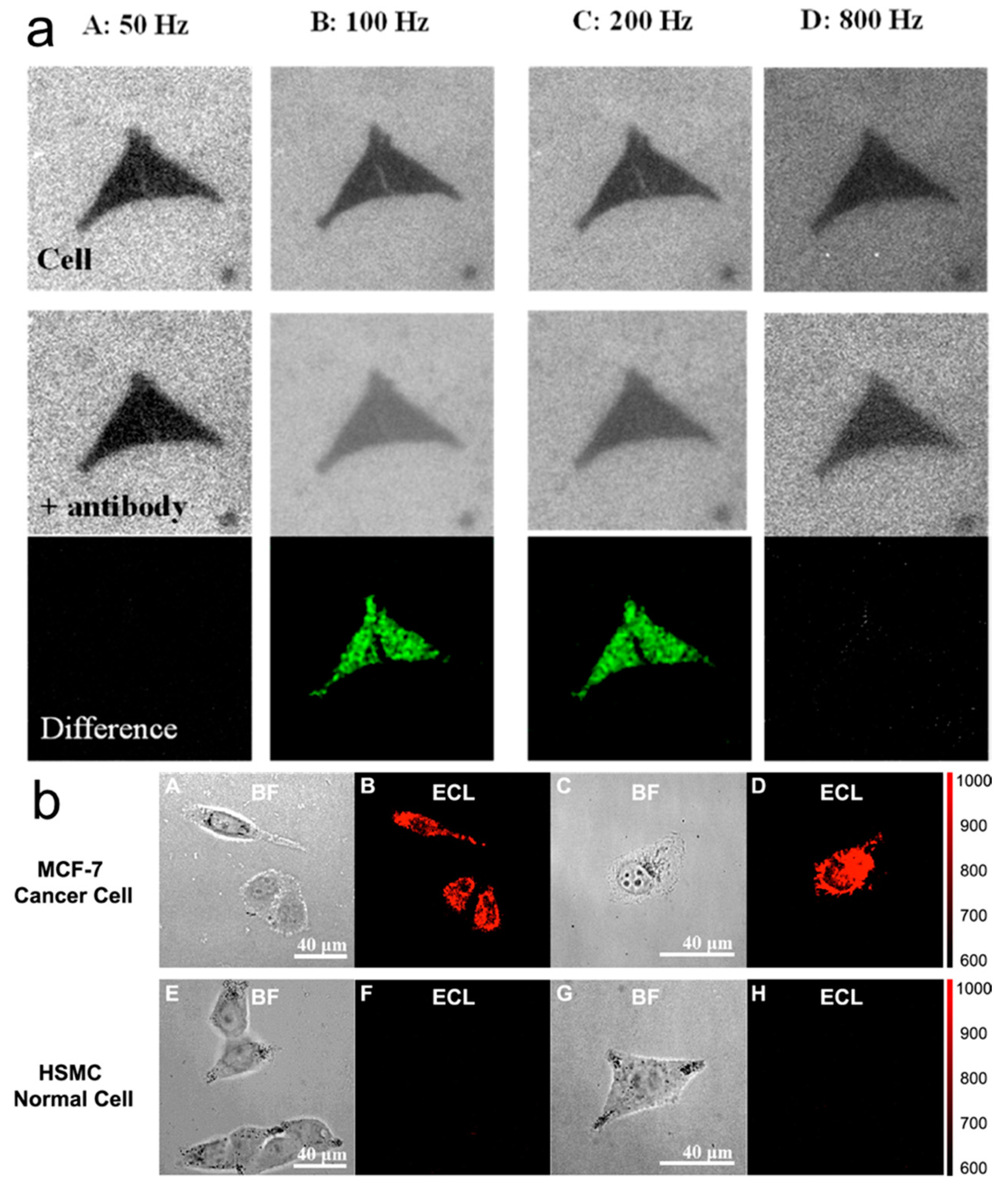 Chemosensors 11 00281 g008 Chemosensors 11 00281 g008