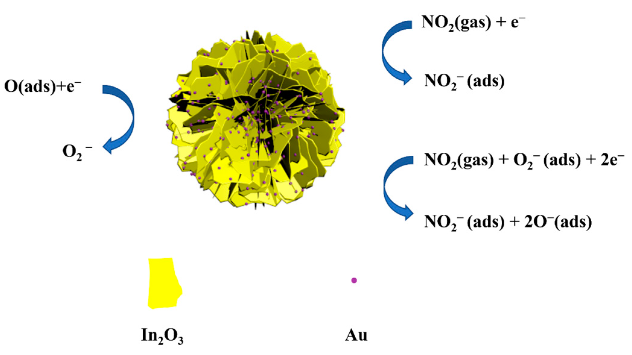 Chemosensors 11 00289 g008