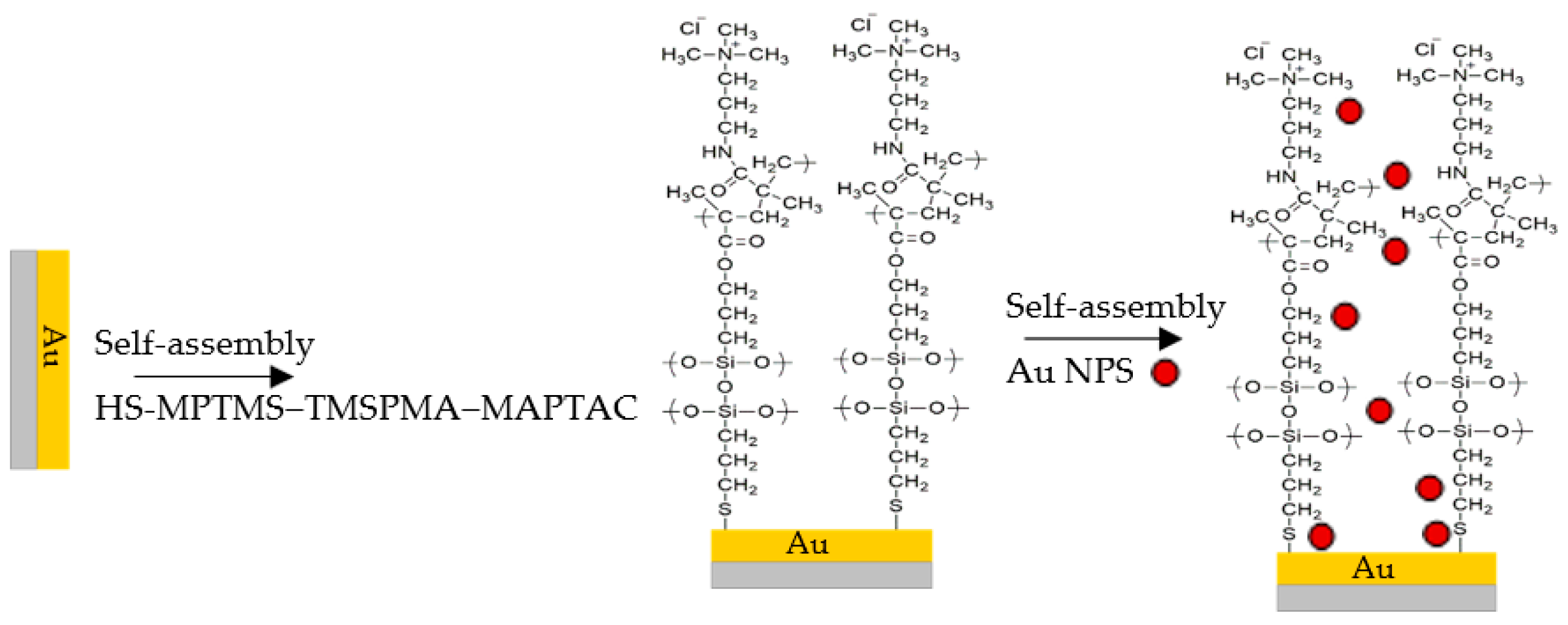 Chemosensors 11 00291 g002b Chemosensors 11 00291 g002b