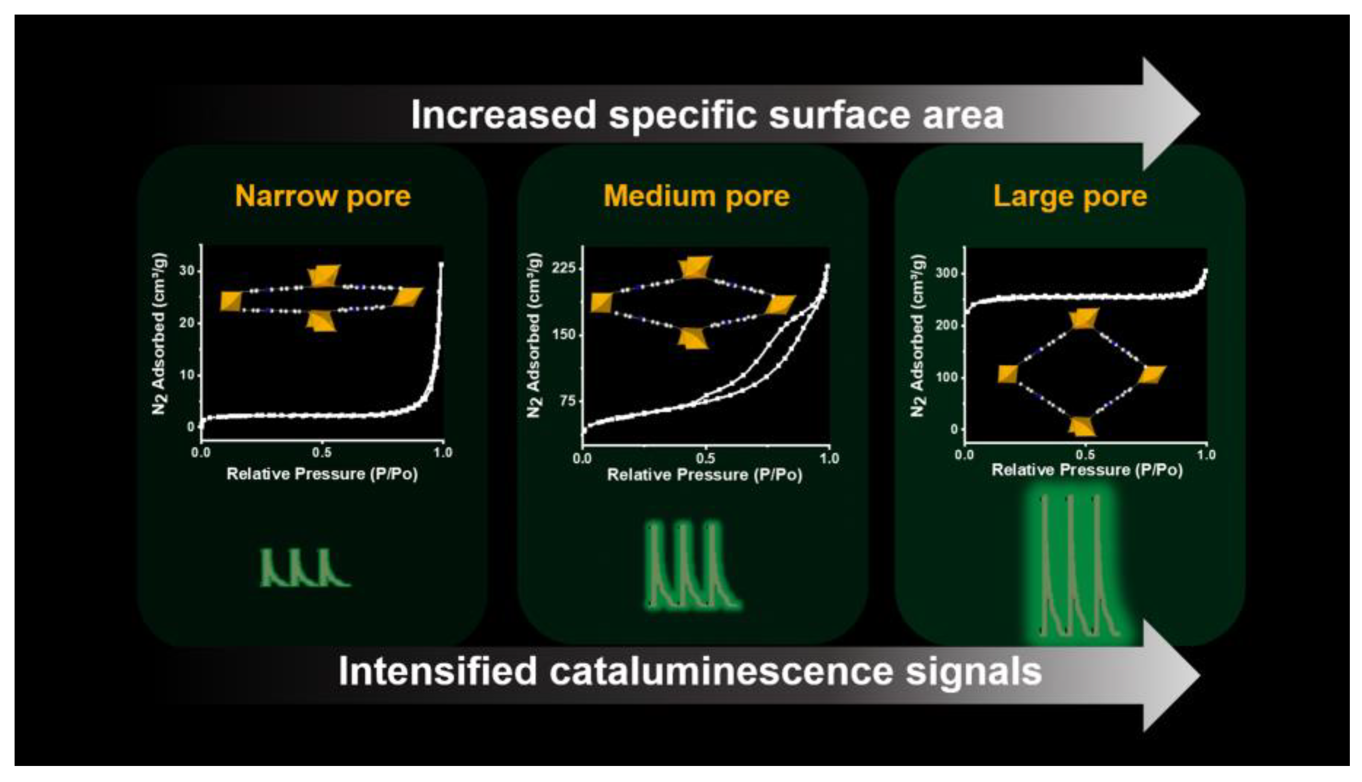 Chemosensors 11 00292 sch001