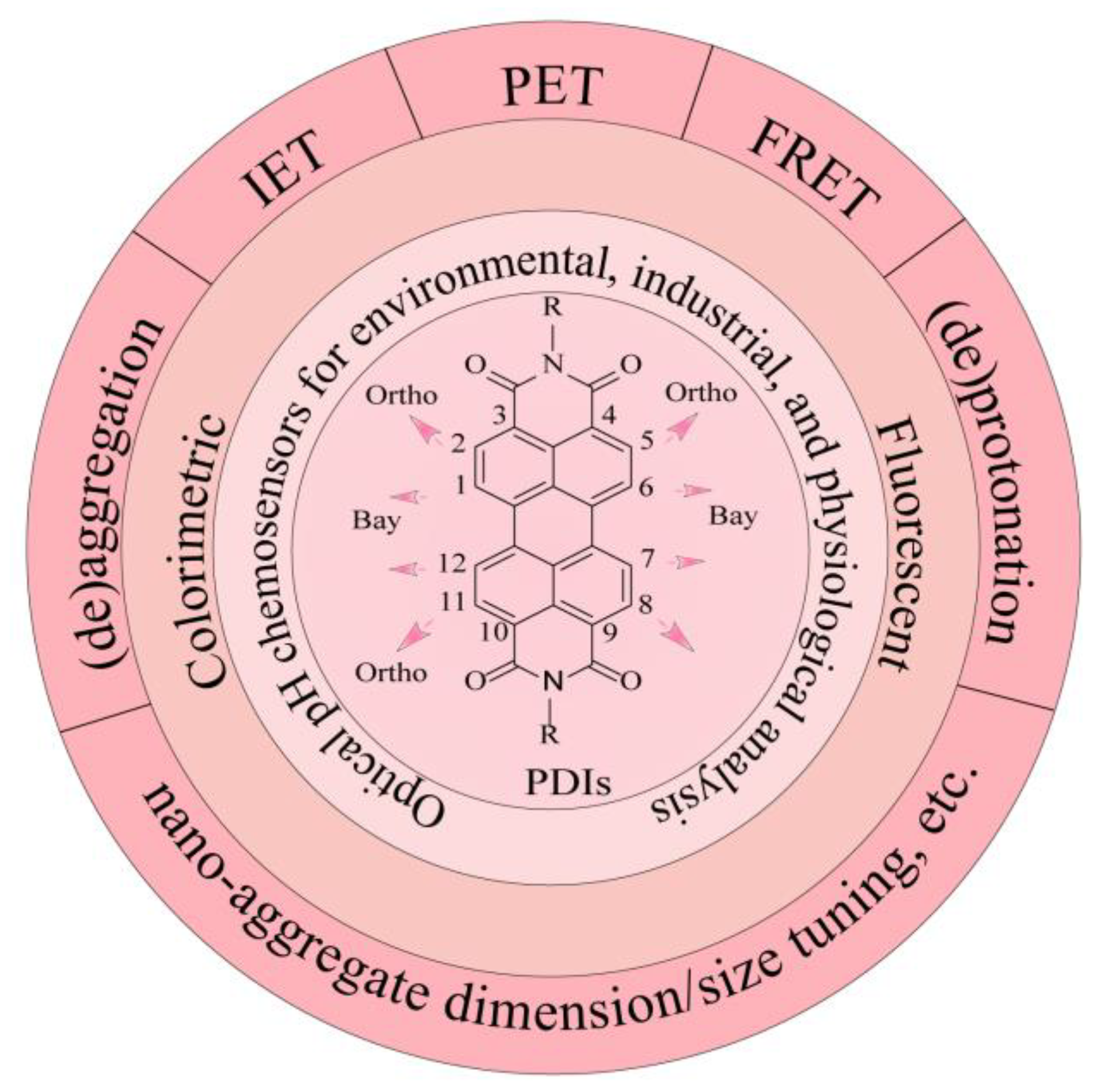 Chemosensors 11 00293 g001