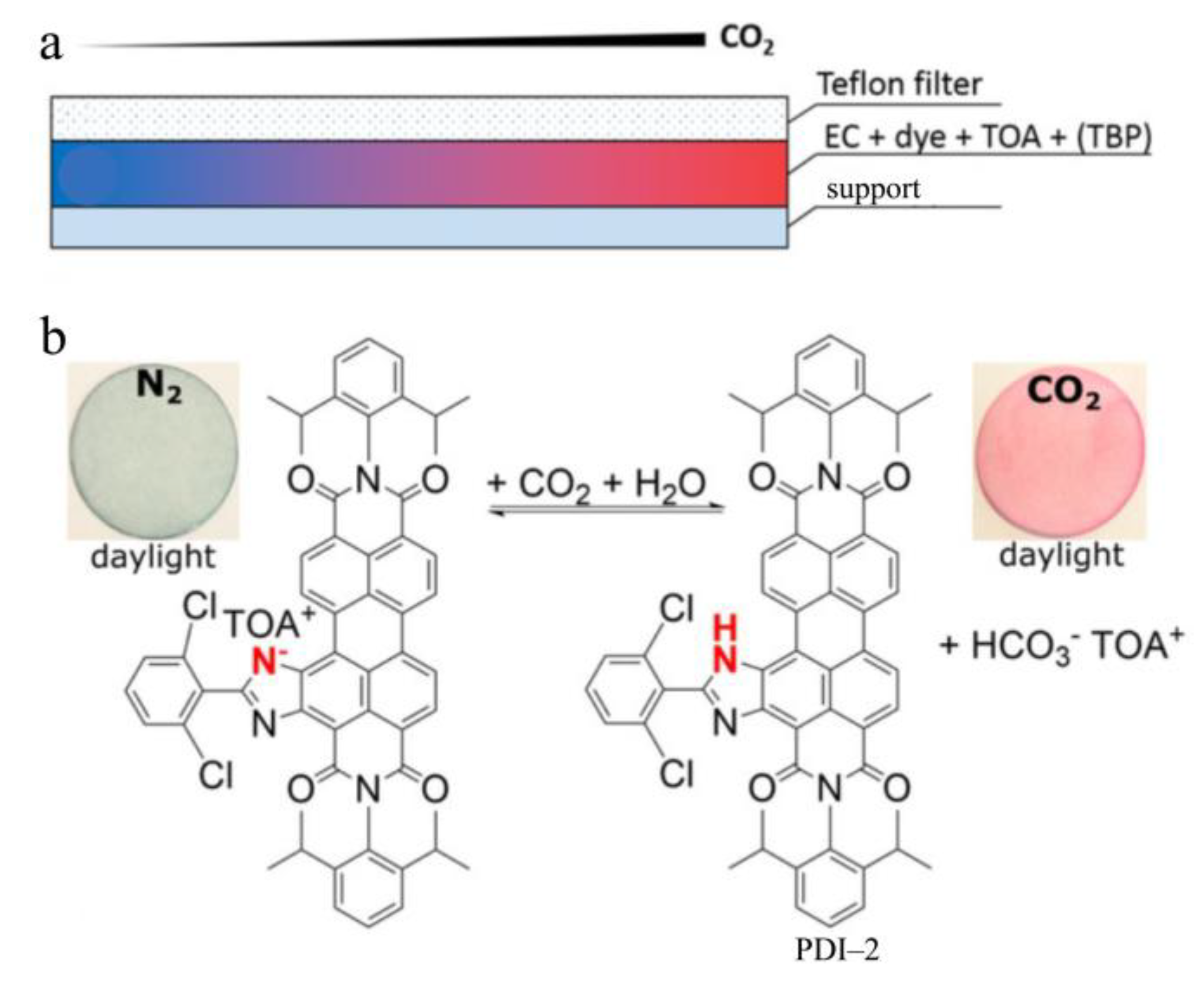 Chemosensors 11 00293 g003