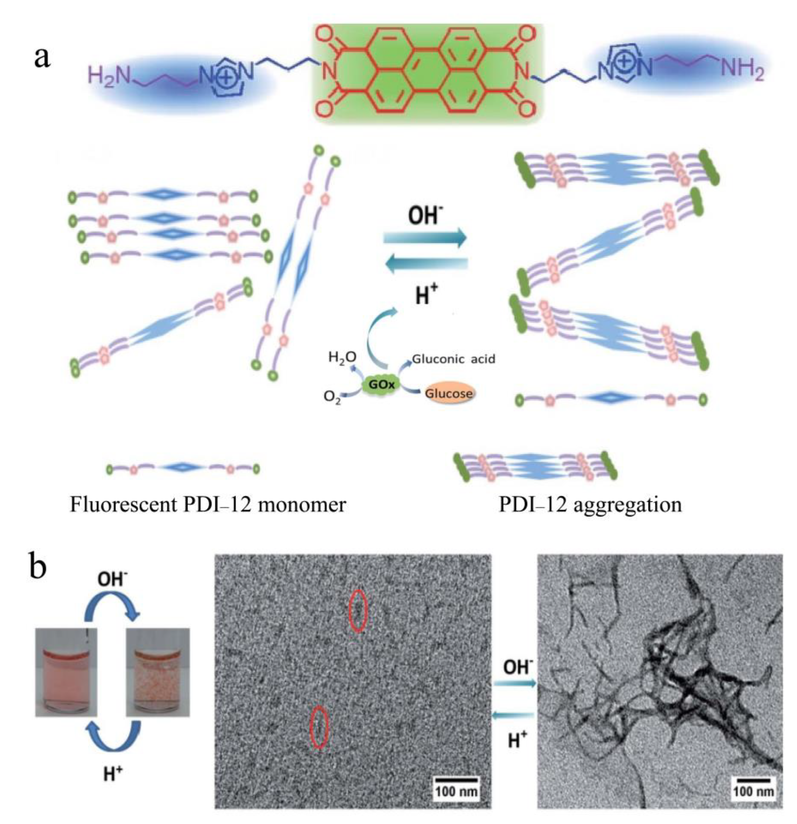 Chemosensors 11 00293 g009