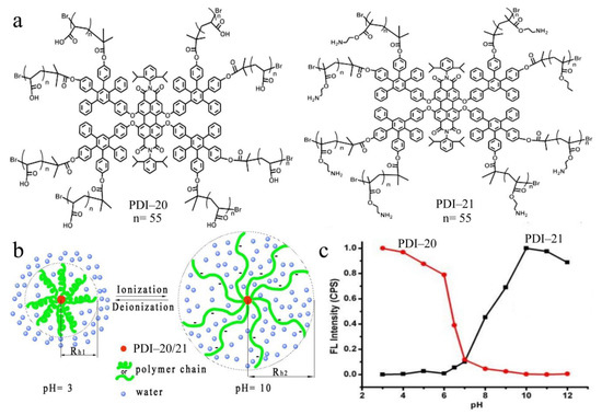 Architectures and Mechanisms of Perylene Diimide-Based Optical