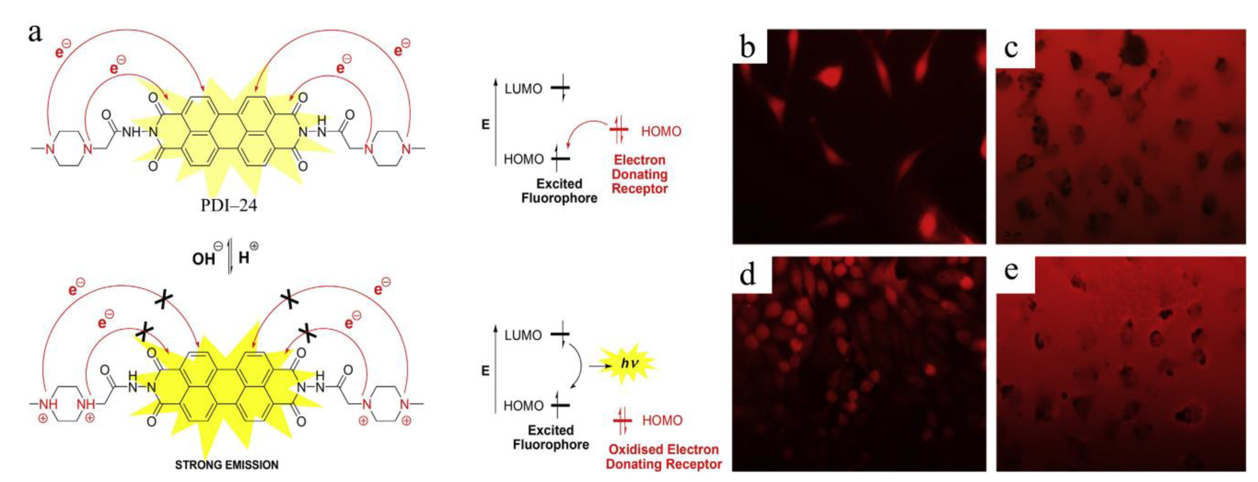 Chemosensors 11 00293 g015