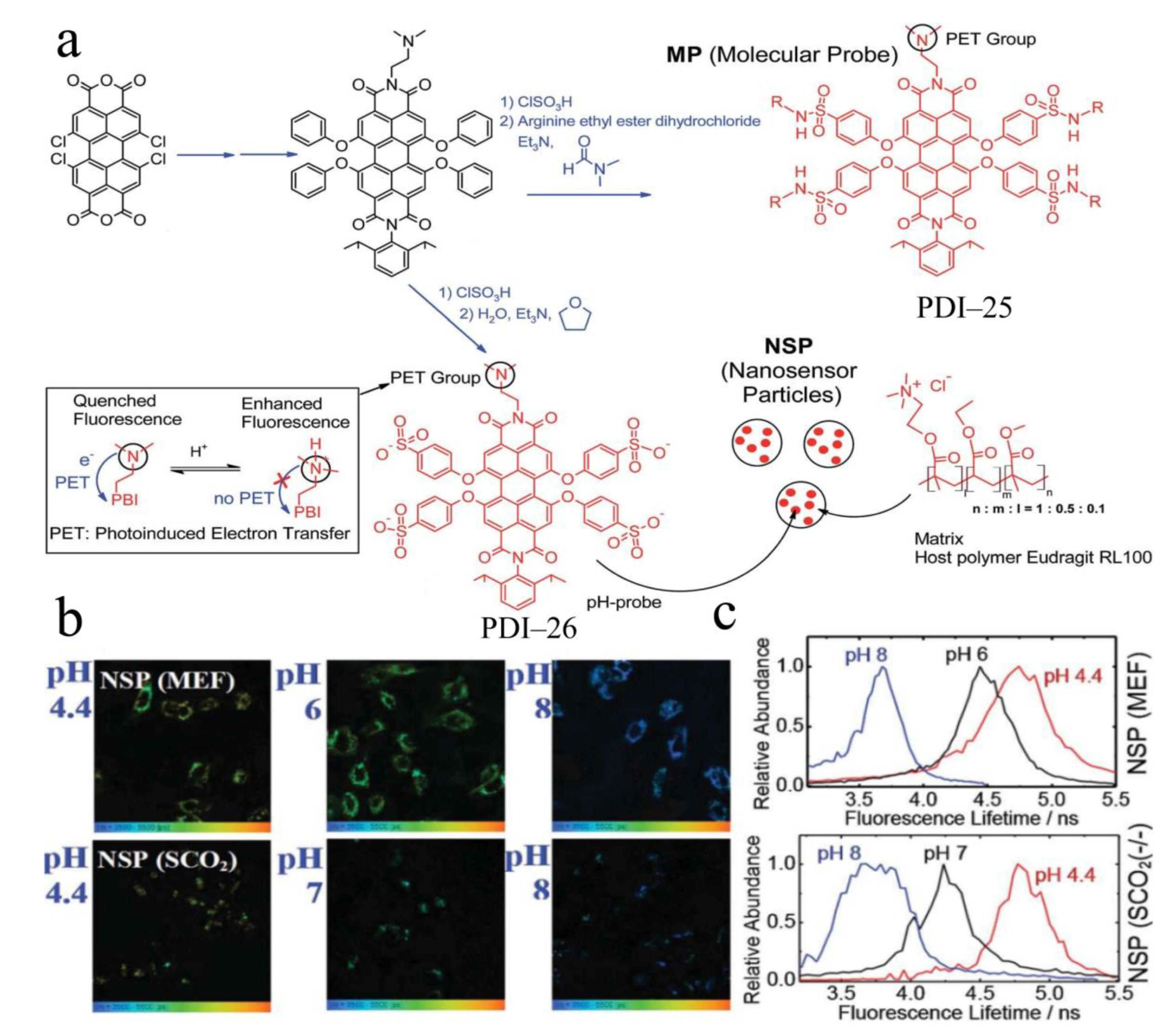 Chemosensors 11 00293 g016