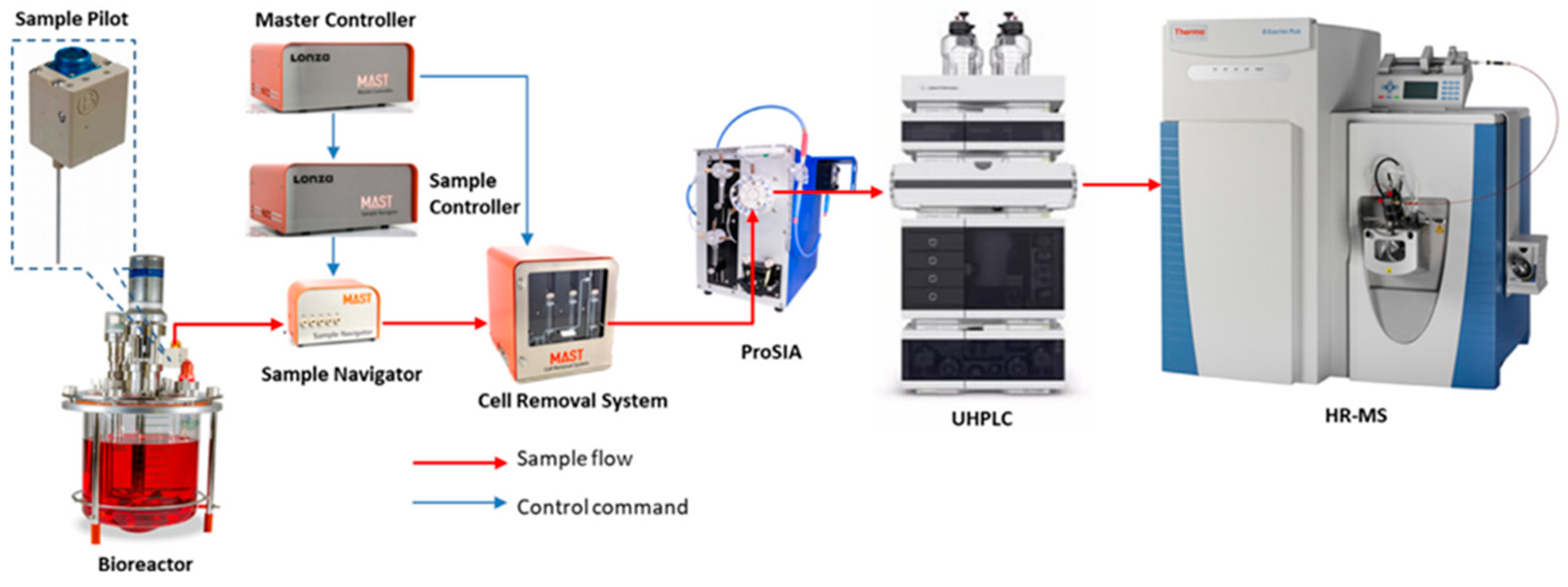 Chemosensors 11 00298 g003