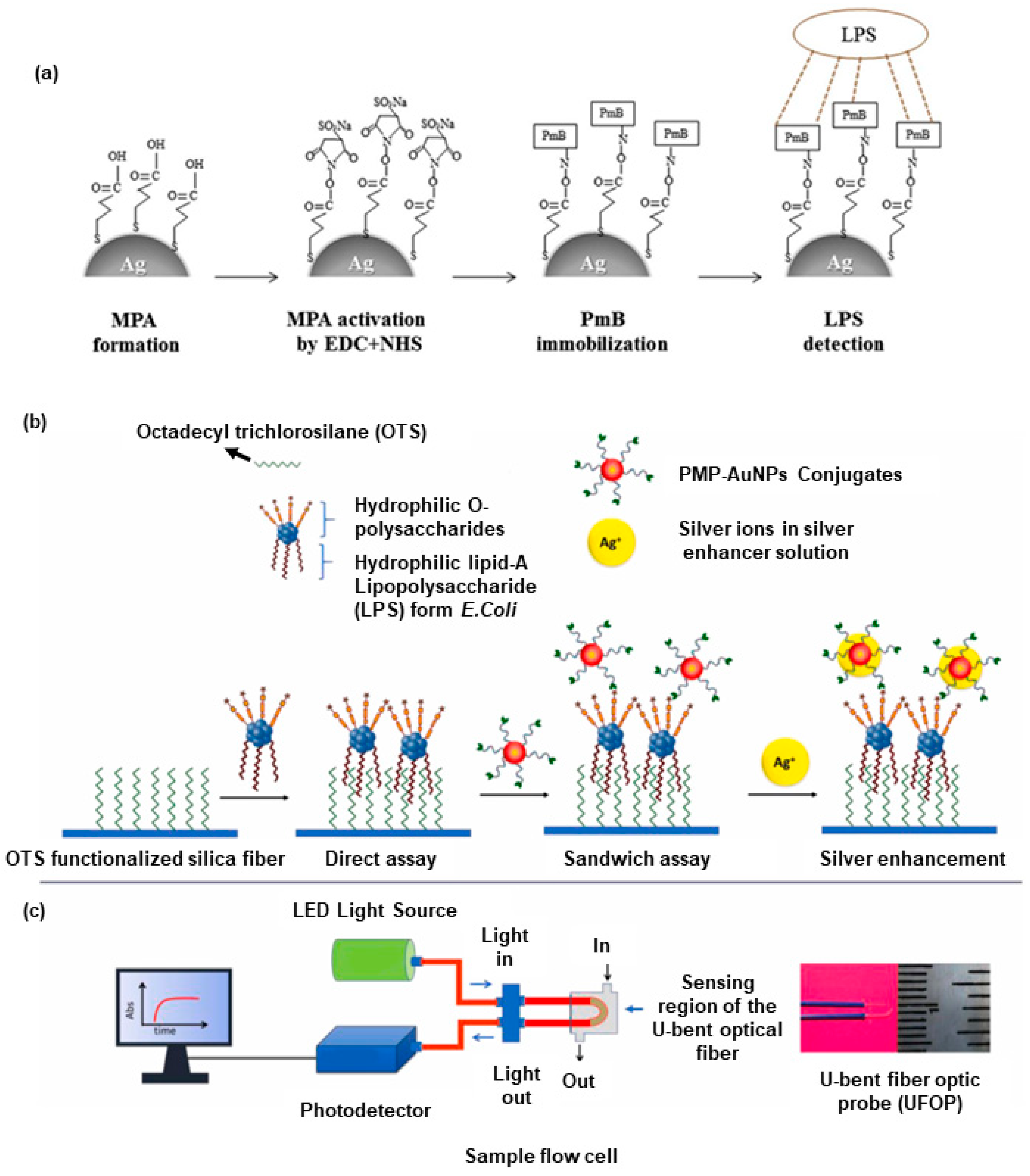 Chemosensors 11 00298 g004