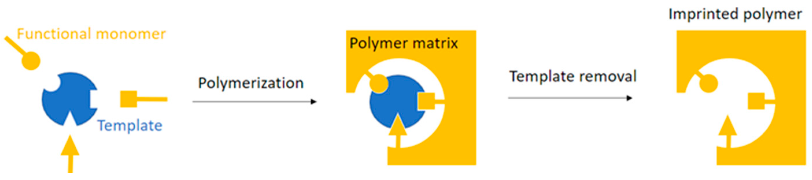Chemosensors 11 00299 g001