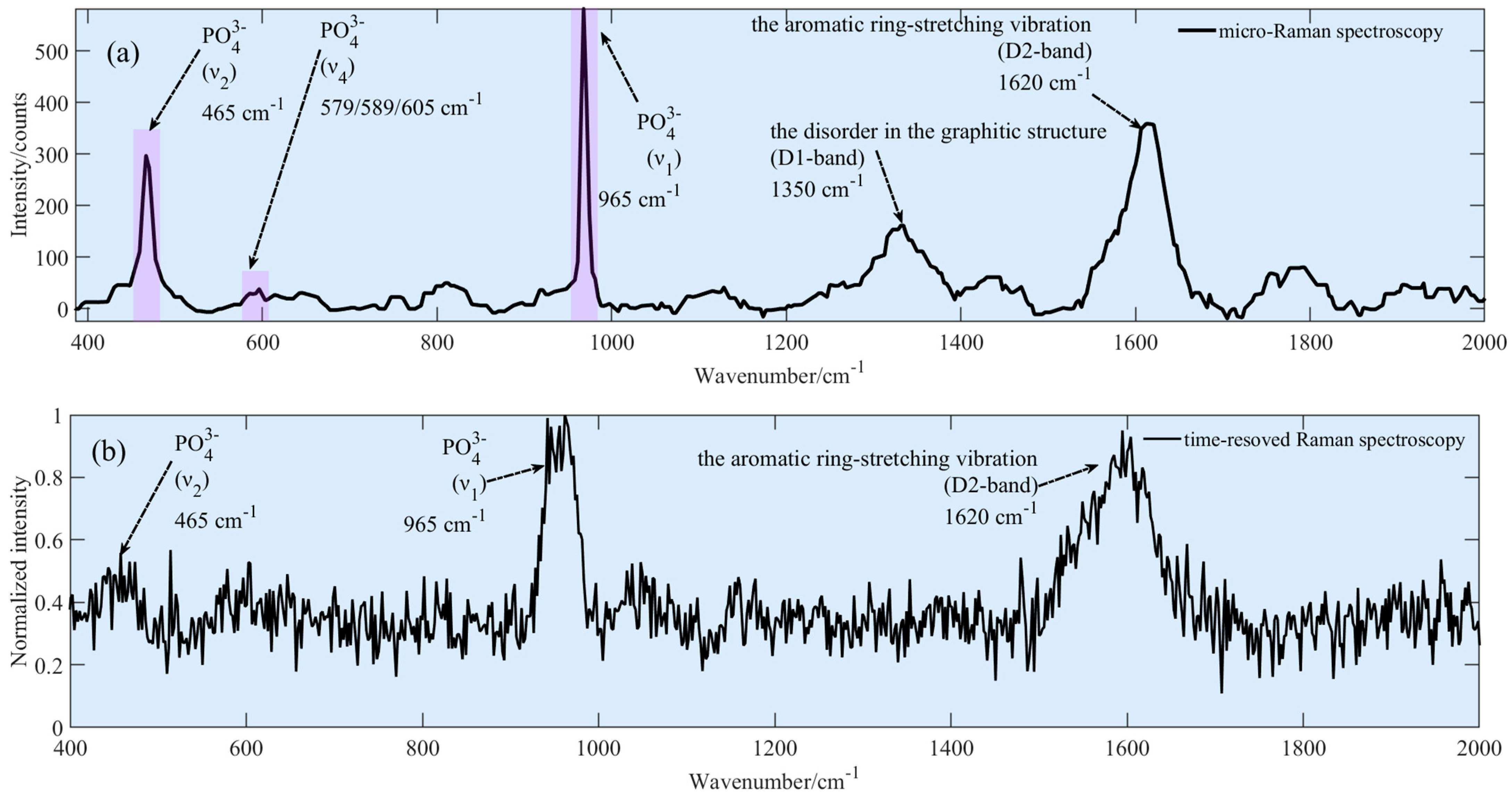 Chemosensors 11 00301 g007