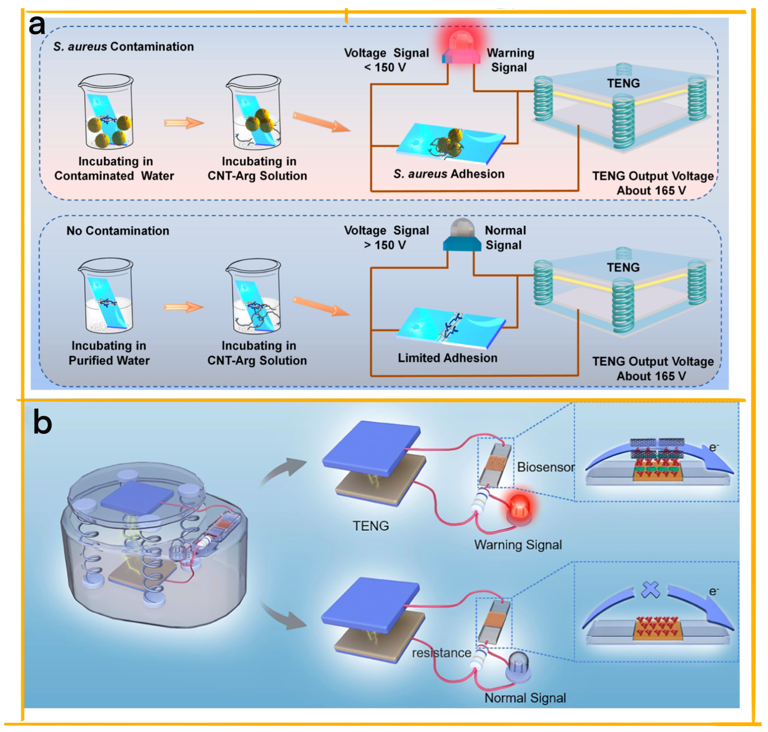 Chemosensors 11 00304 g010
